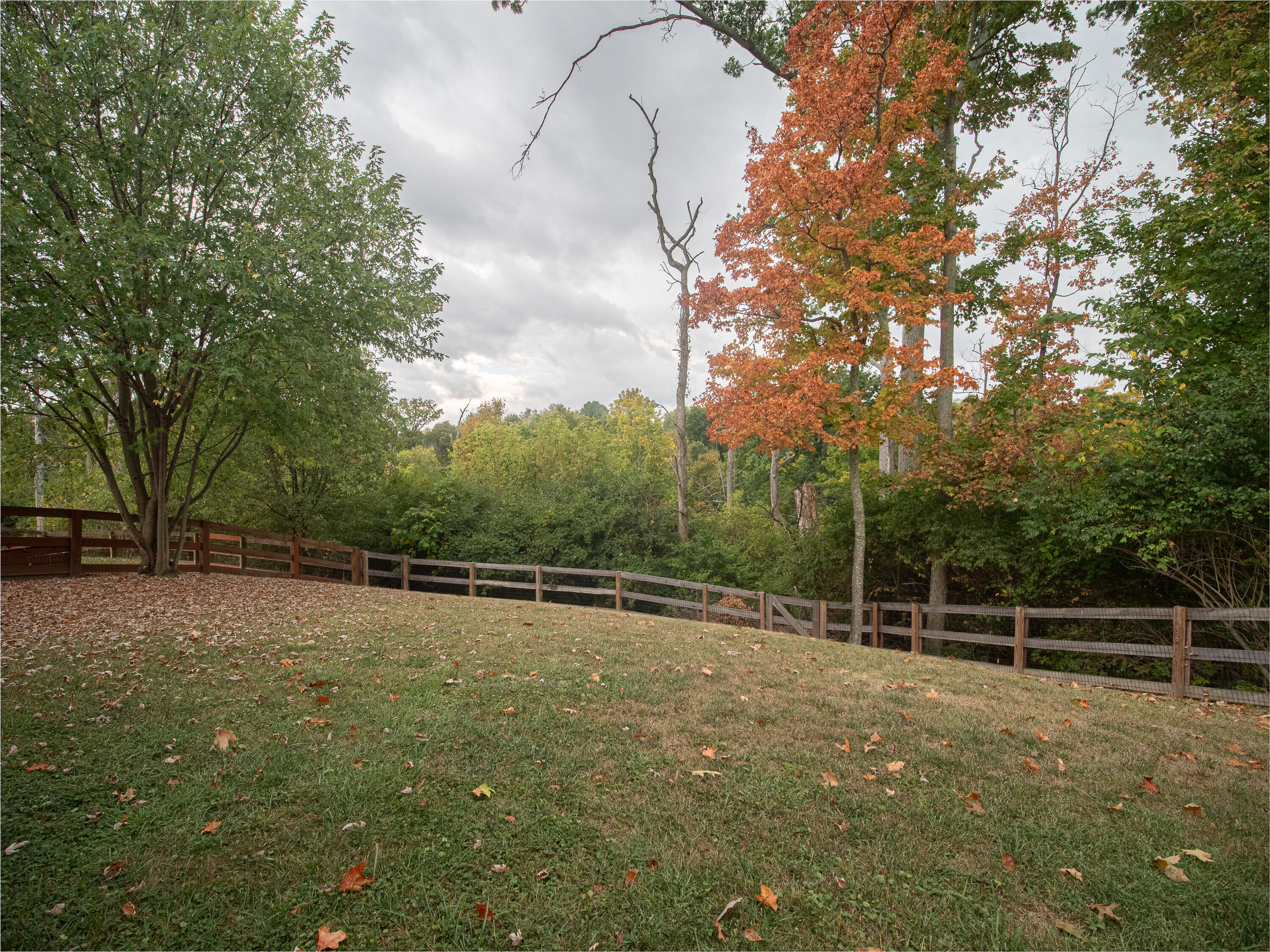 10149 Meadow Glen Drive