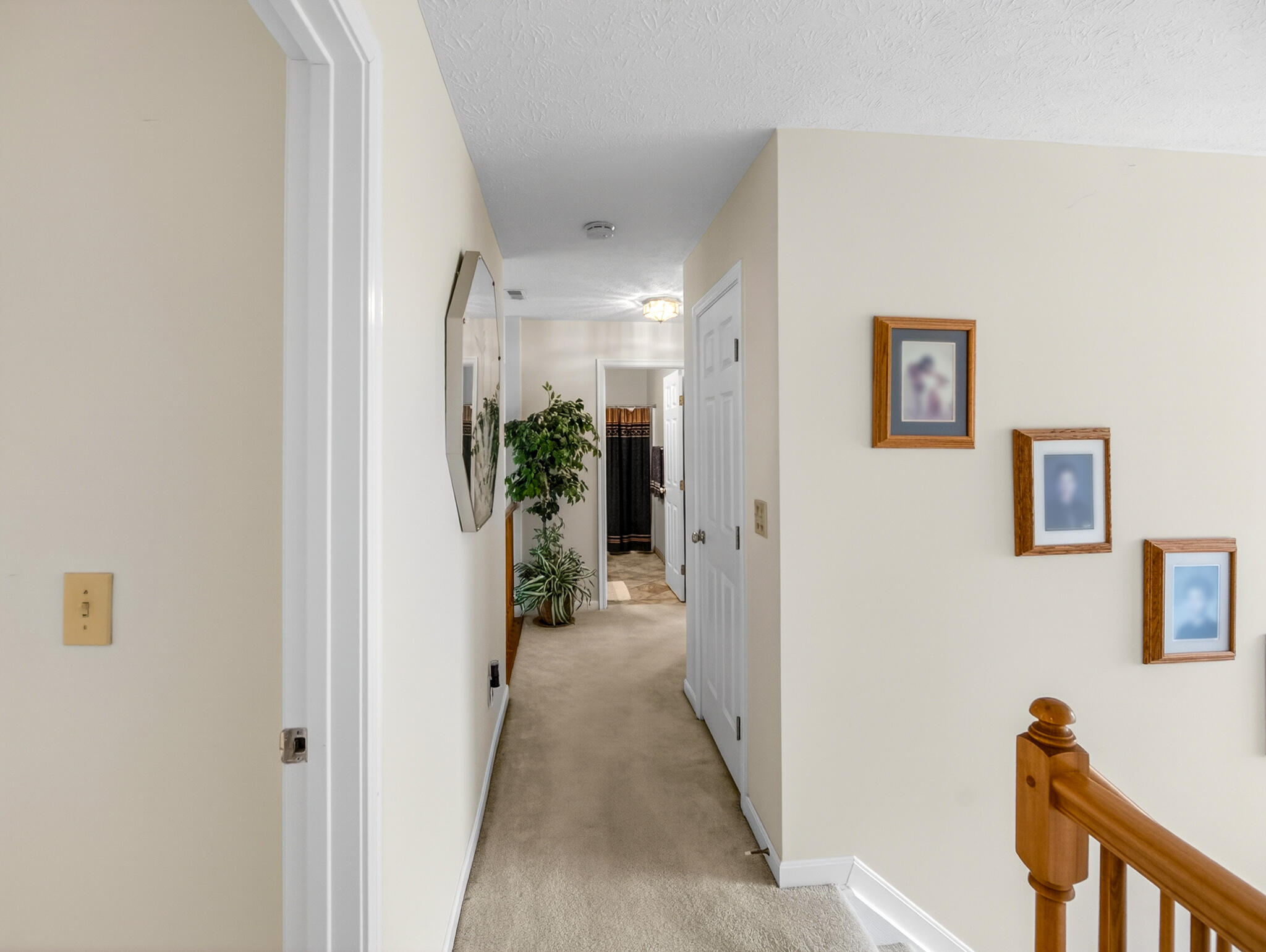 2187 Bluegrama Drive