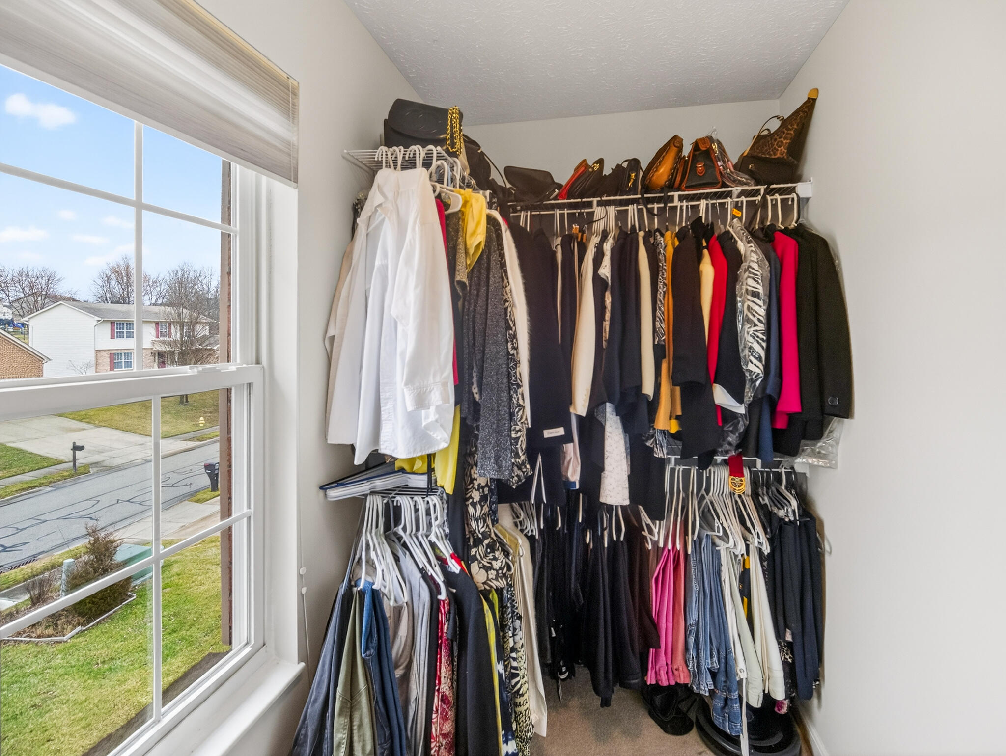 2187 Bluegrama Drive