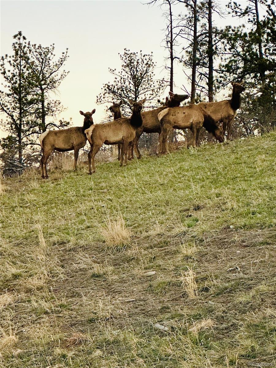 6346 Rockingham Court