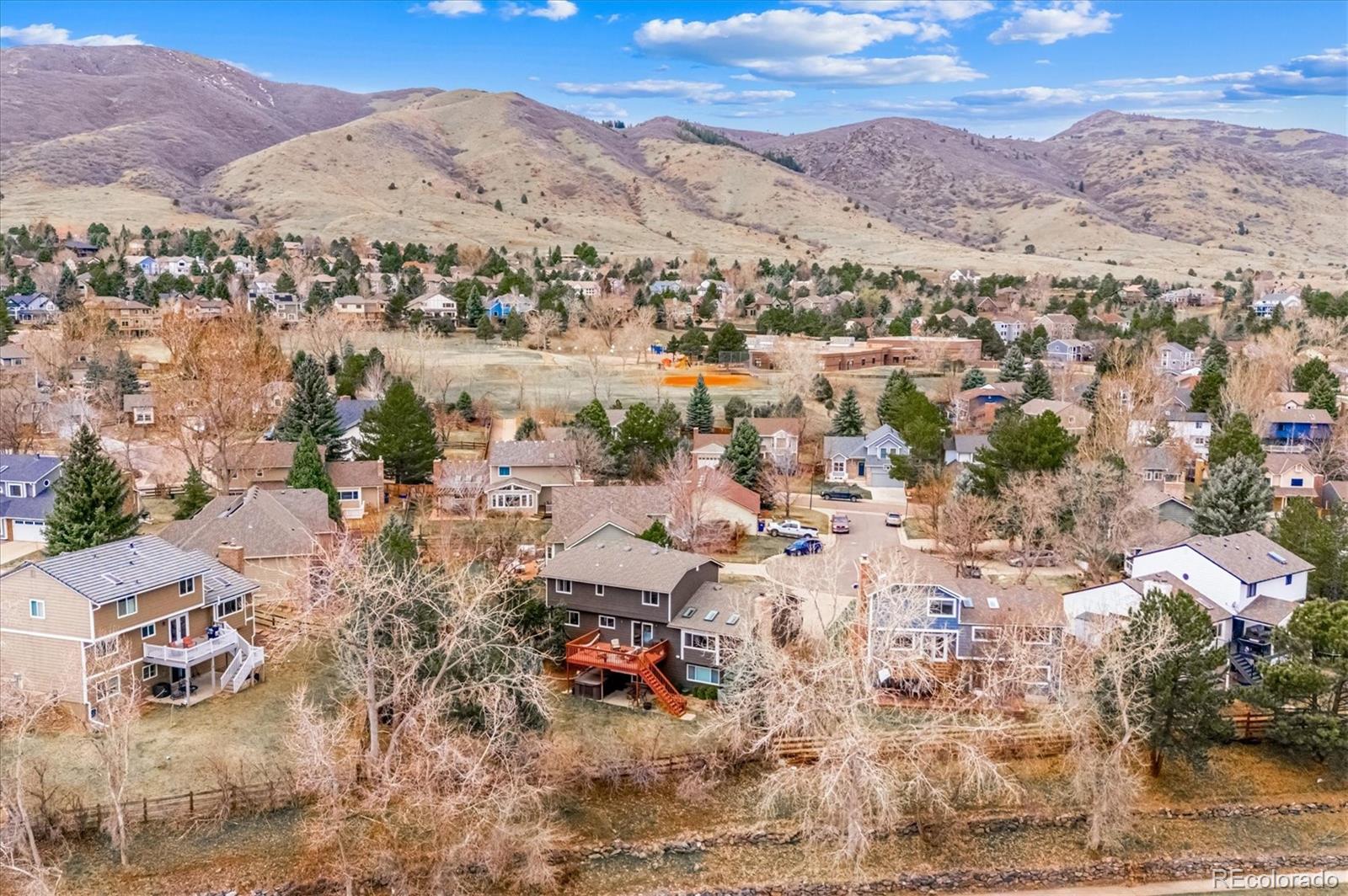 4 Mountain Ash
