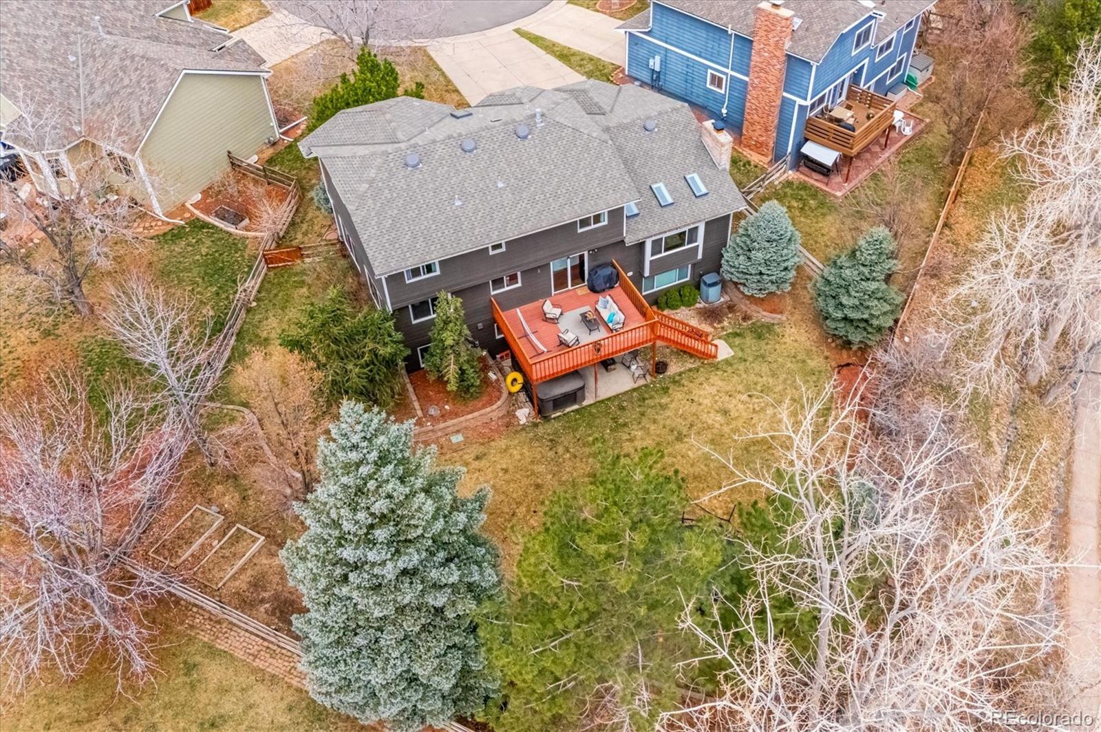 4 Mountain Ash