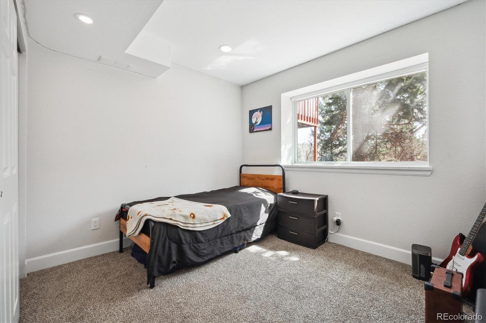 4 Mountain Ash