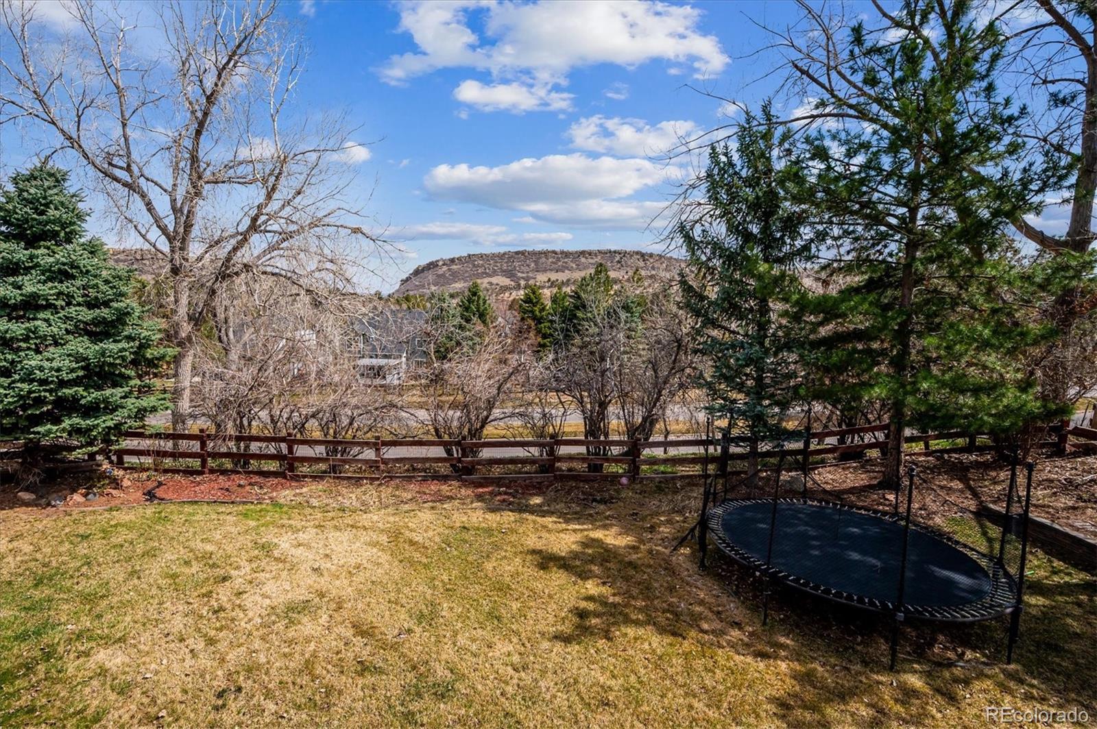 4 Mountain Ash