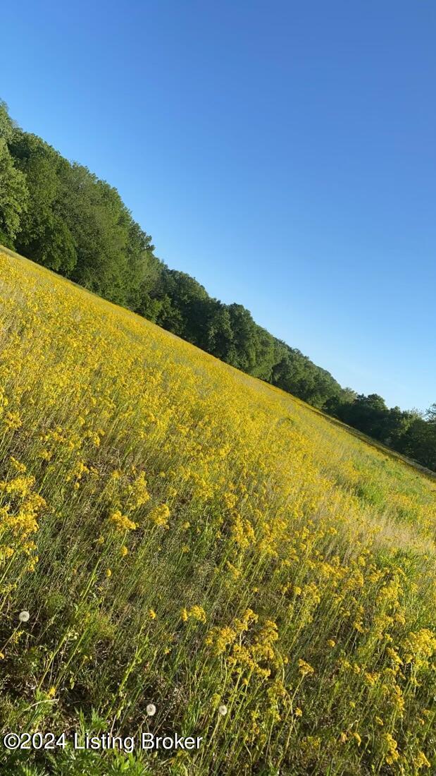 3033 Wises Landing Rd