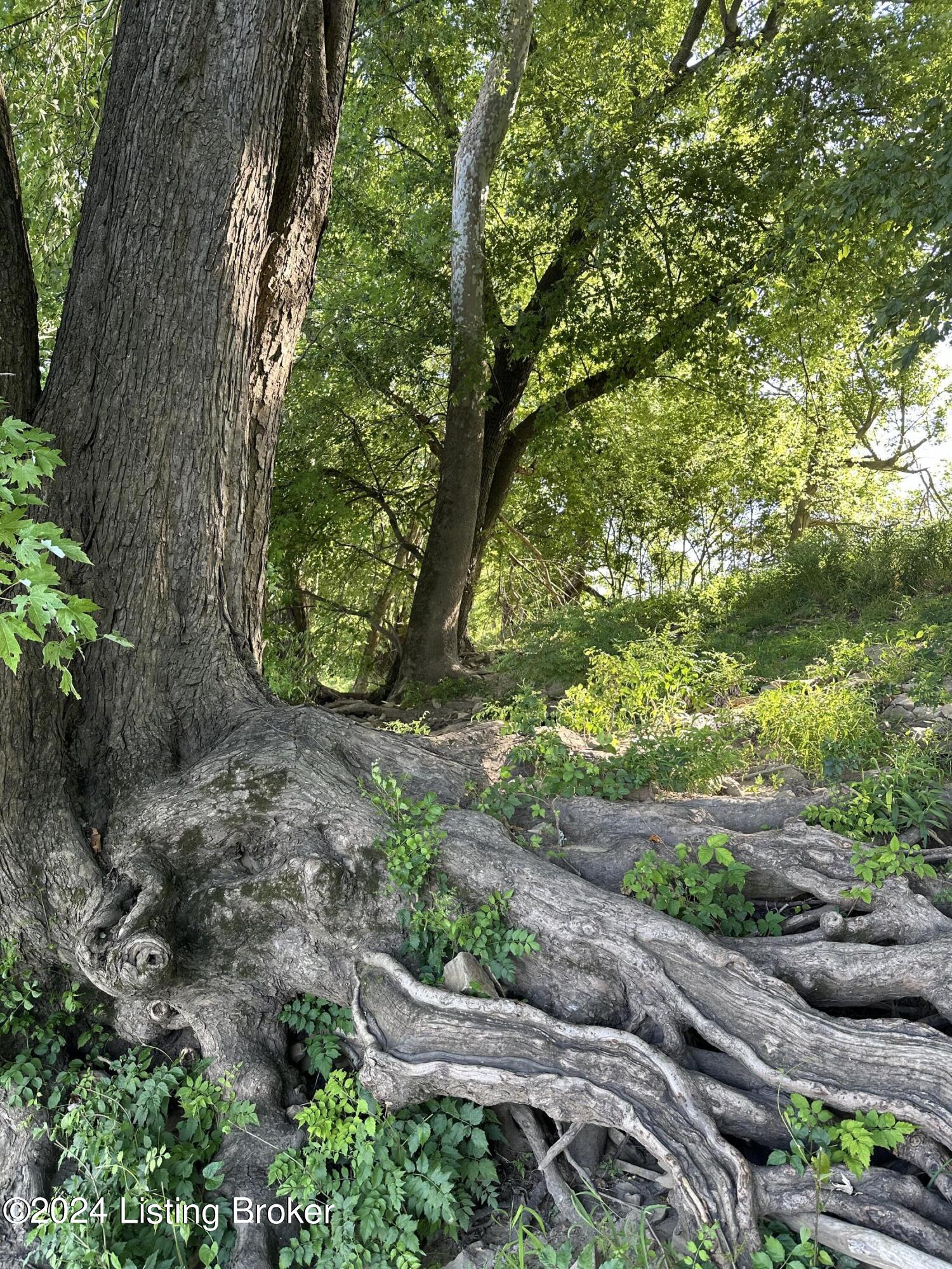 3100 Wises Landing Rd