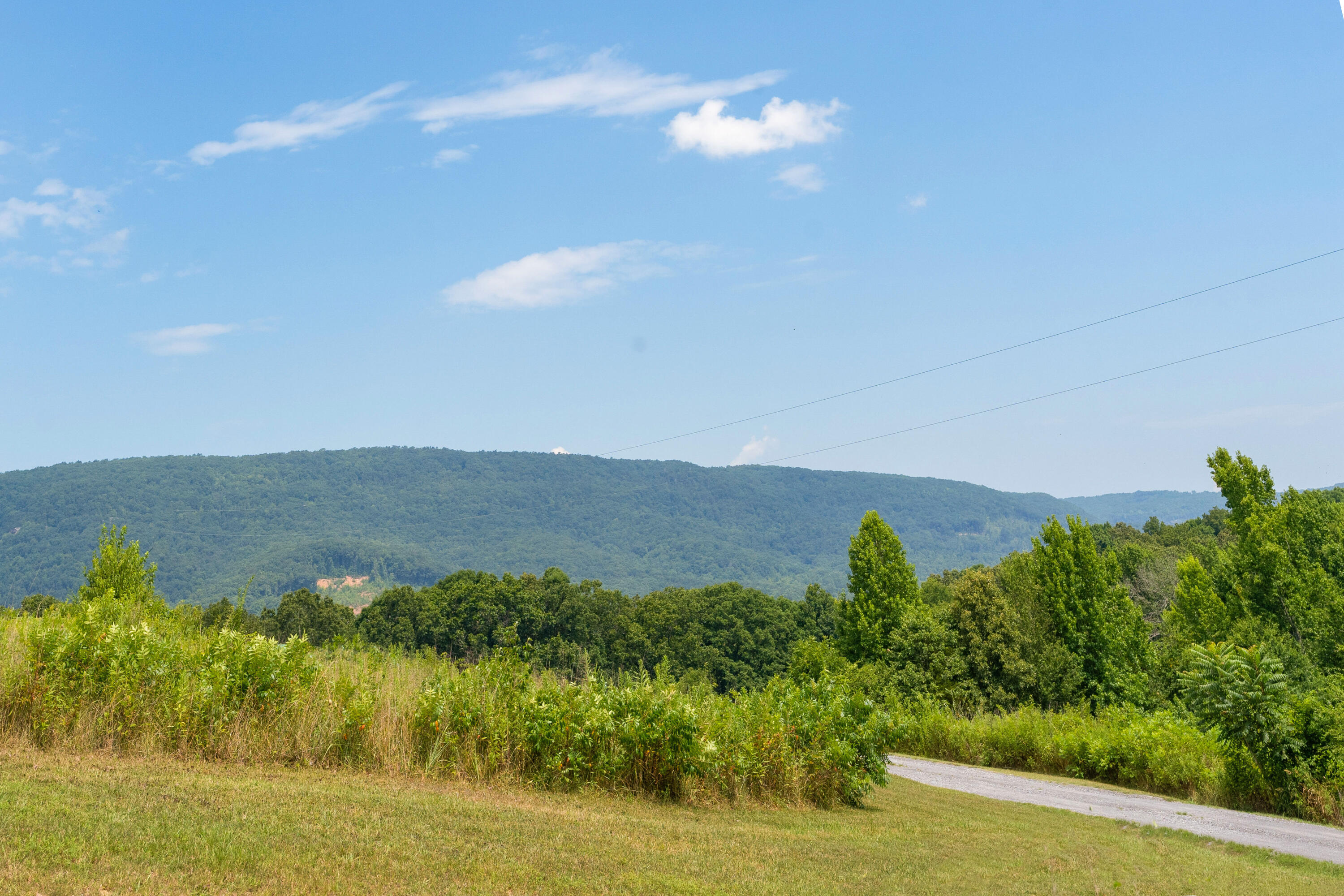 919 John Burch Road