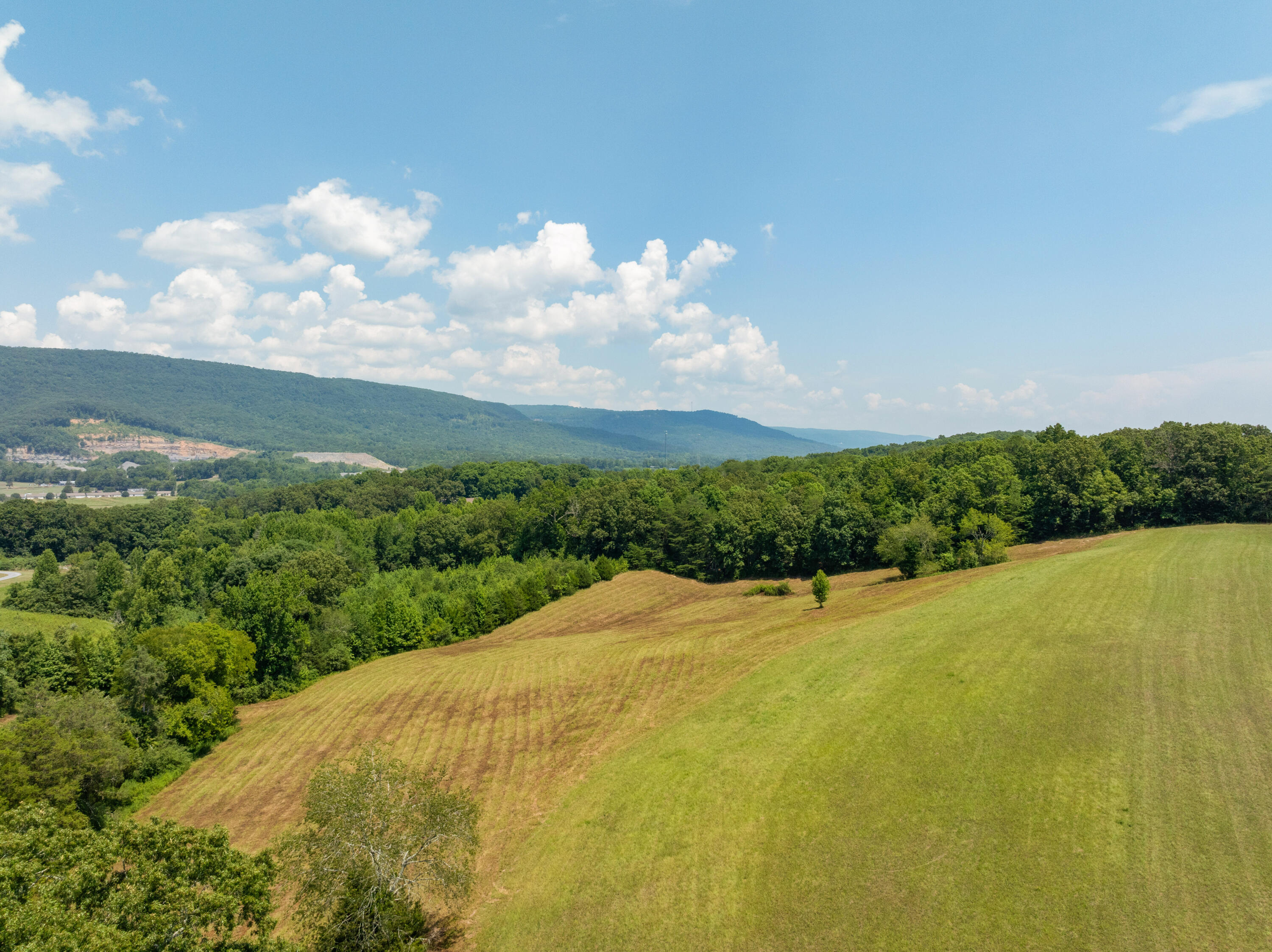 919 John Burch Road
