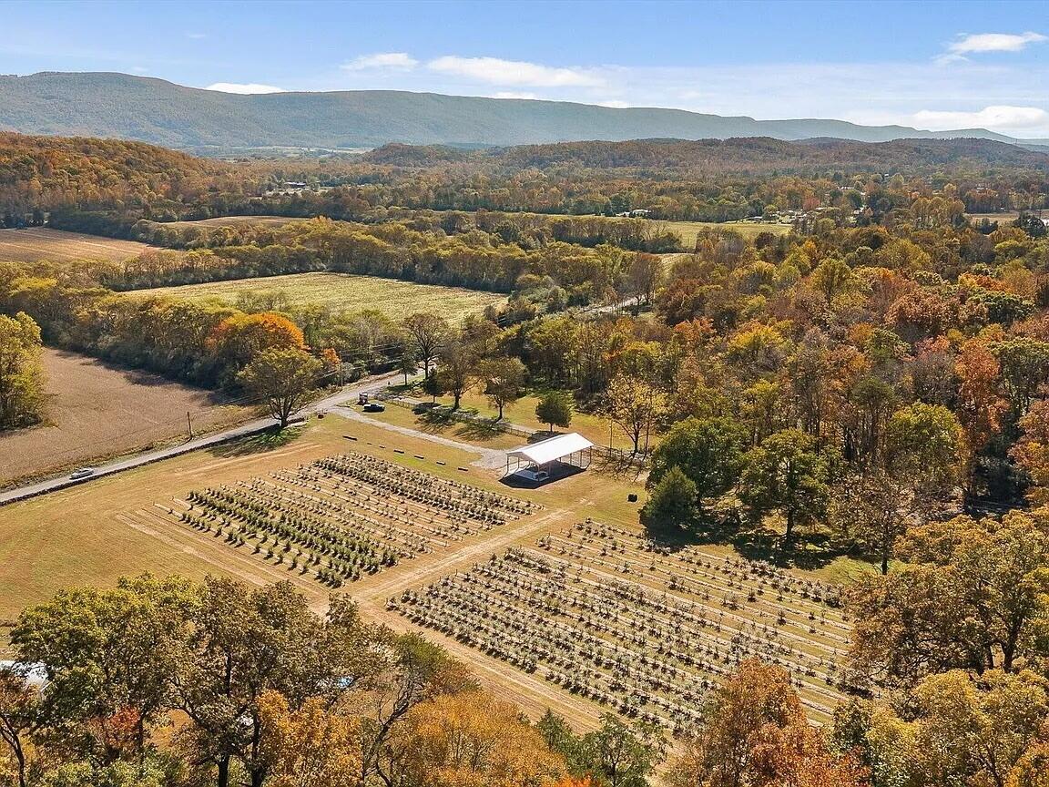 919 John Burch Road