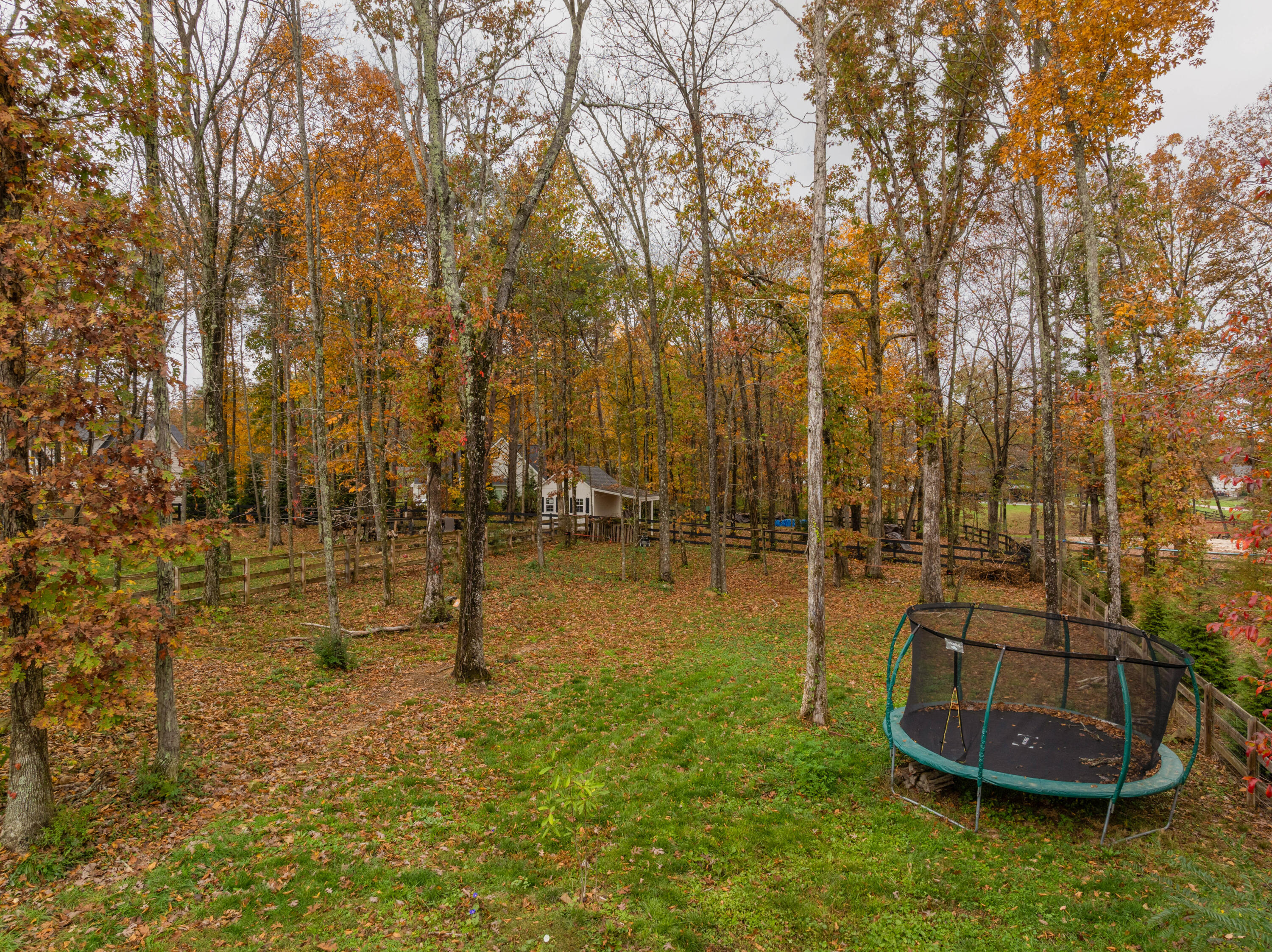 2831 Signal Farms Lane, 10