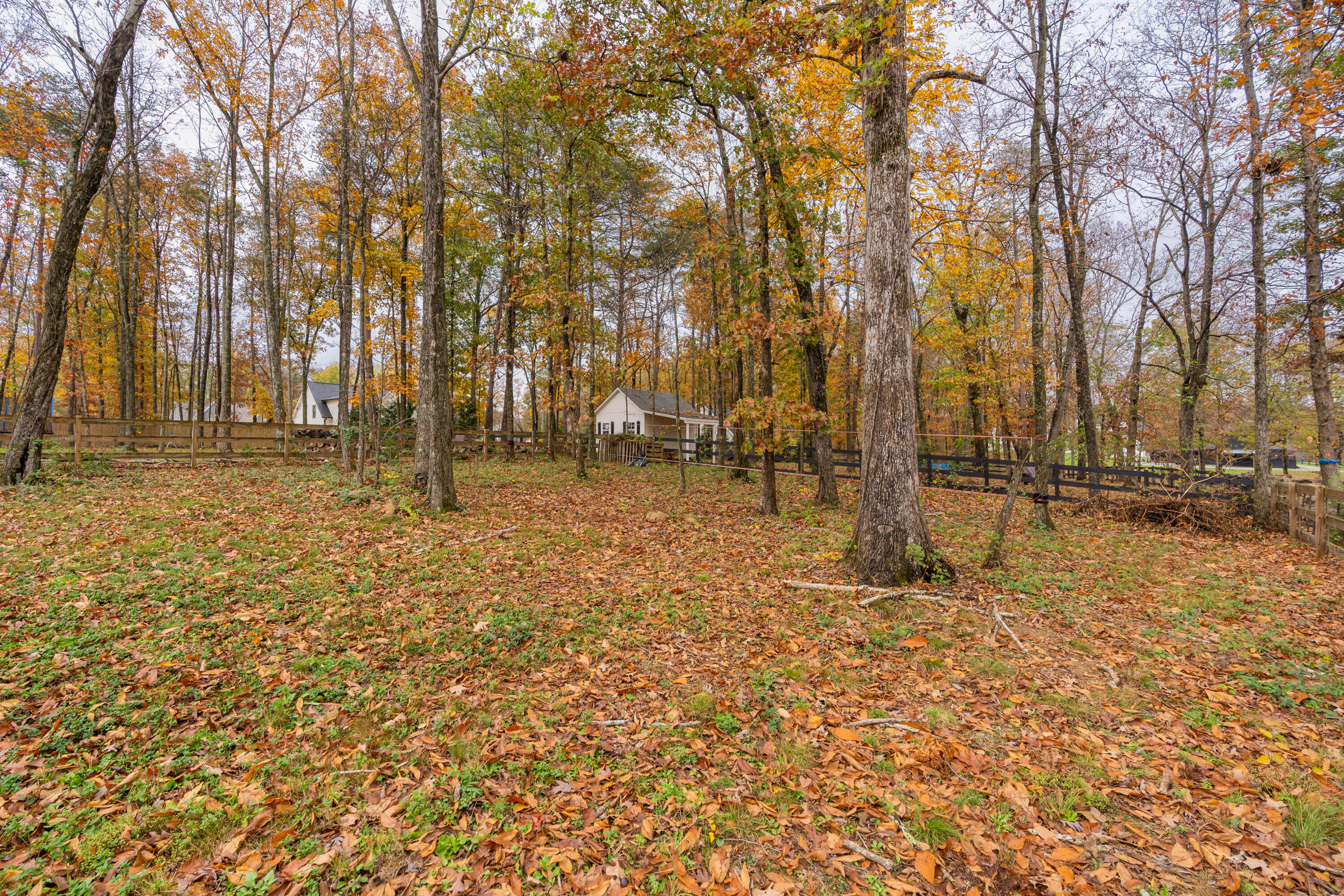 2831 Signal Farms Lane, 10
