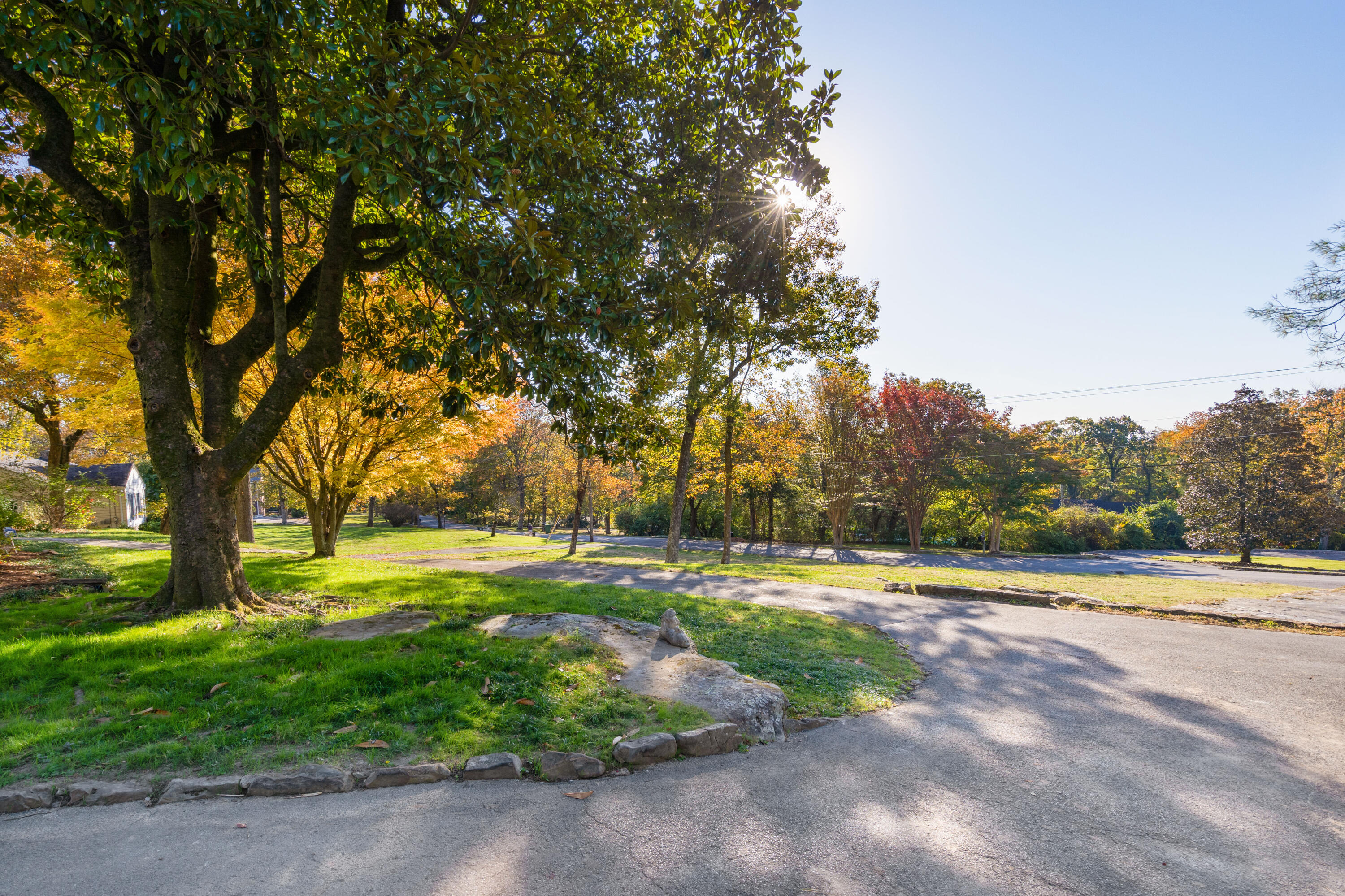 205 Princess Trail