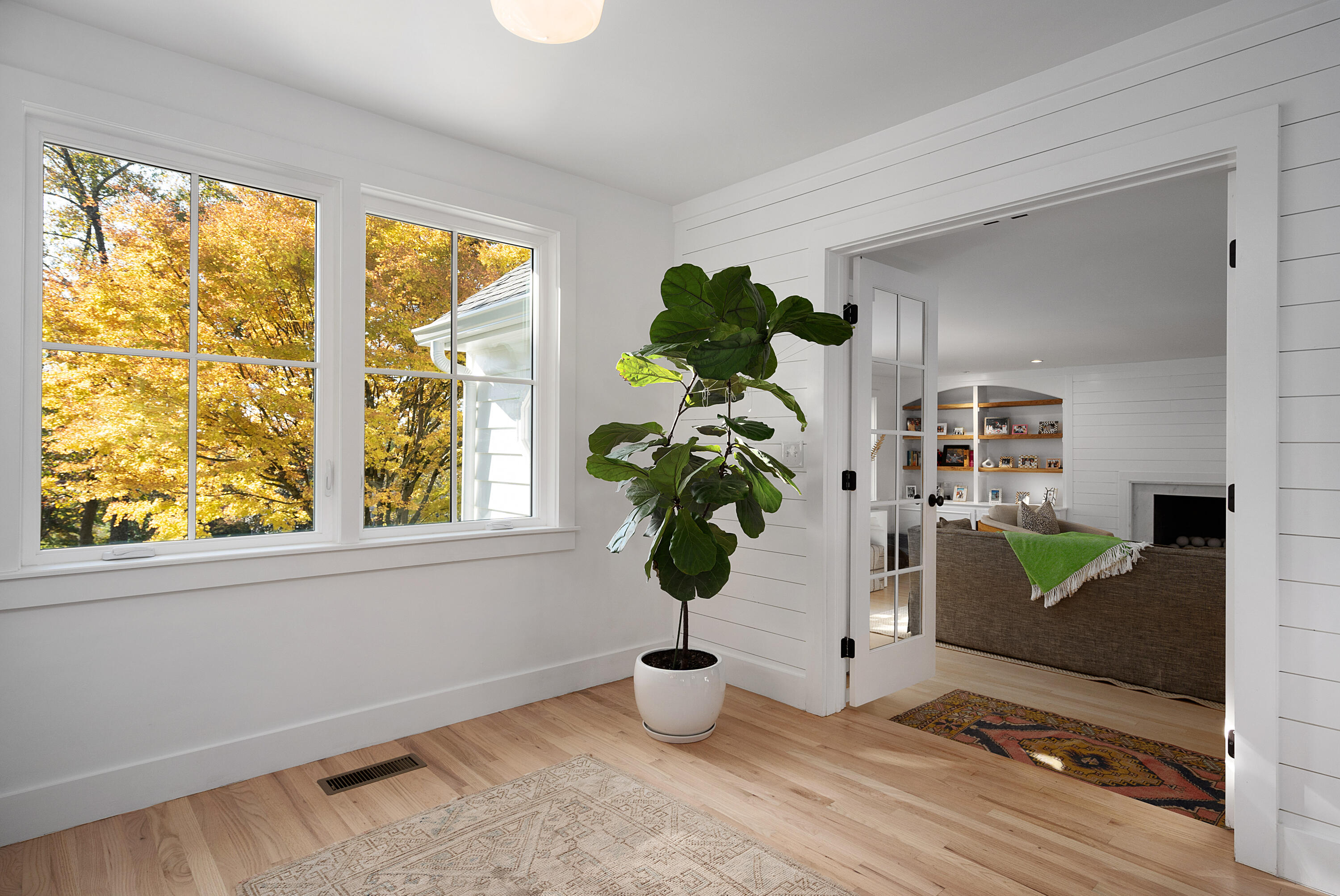 205 Princess Trail