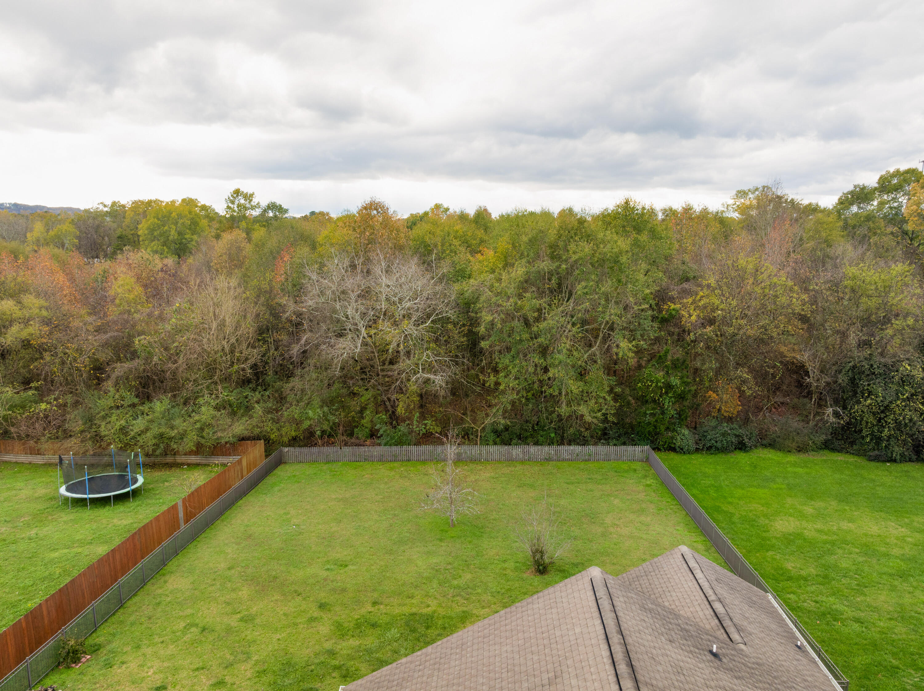 1542 Courtland Drive