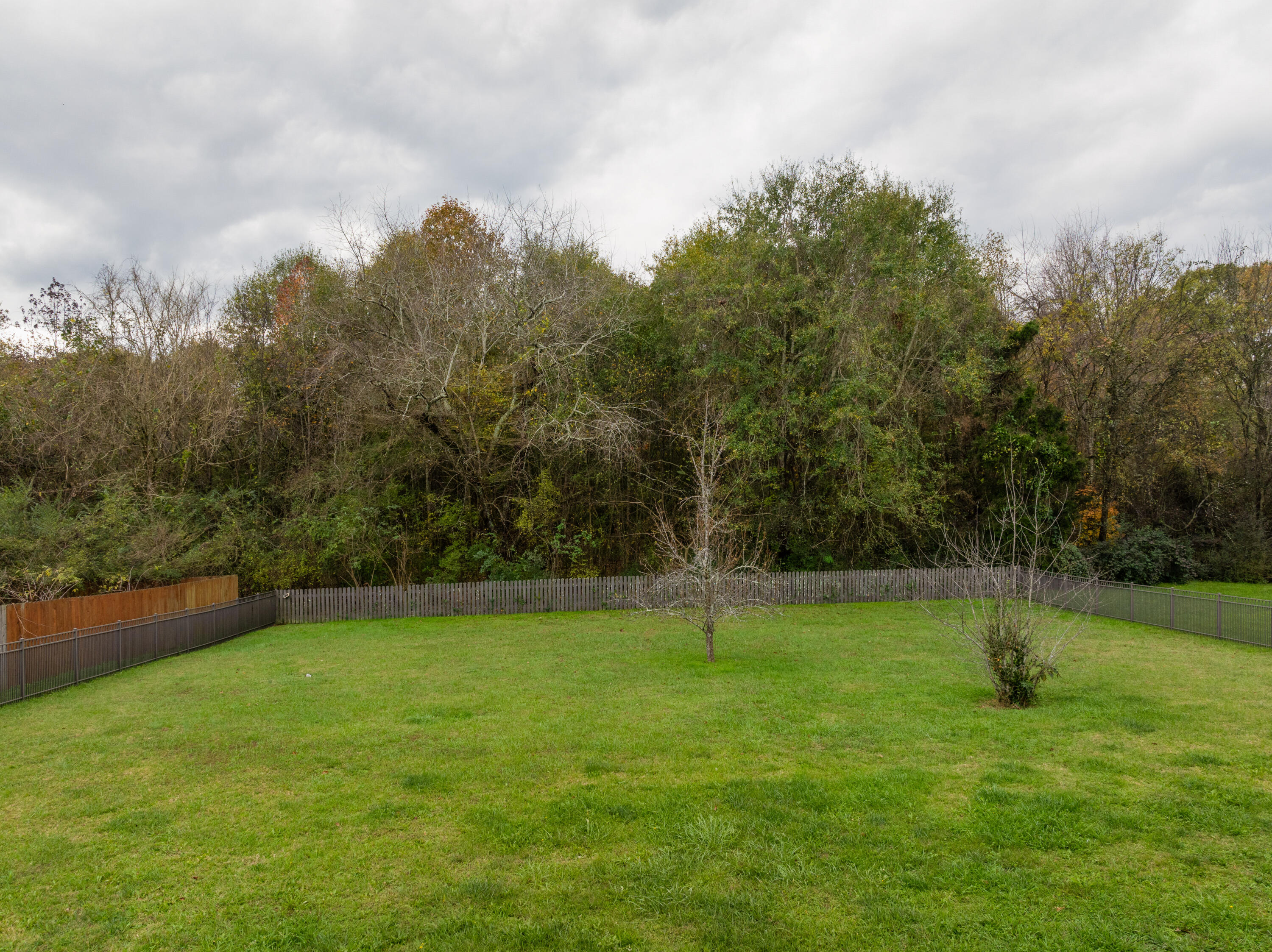 1542 Courtland Drive