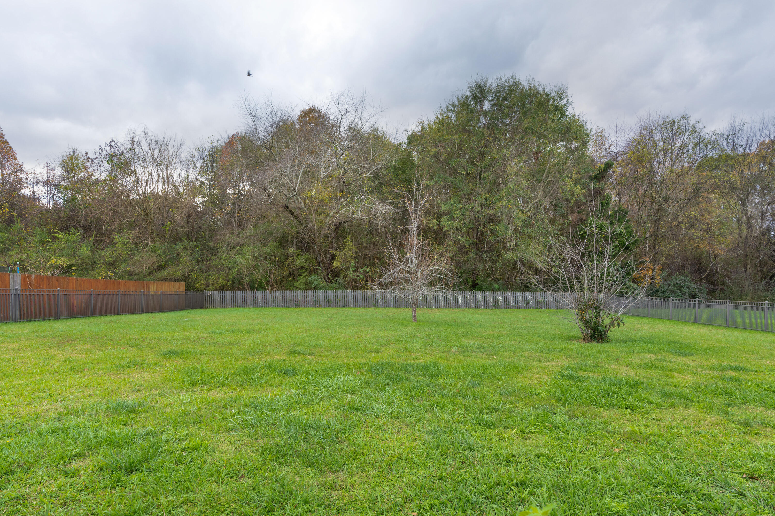 1542 Courtland Drive
