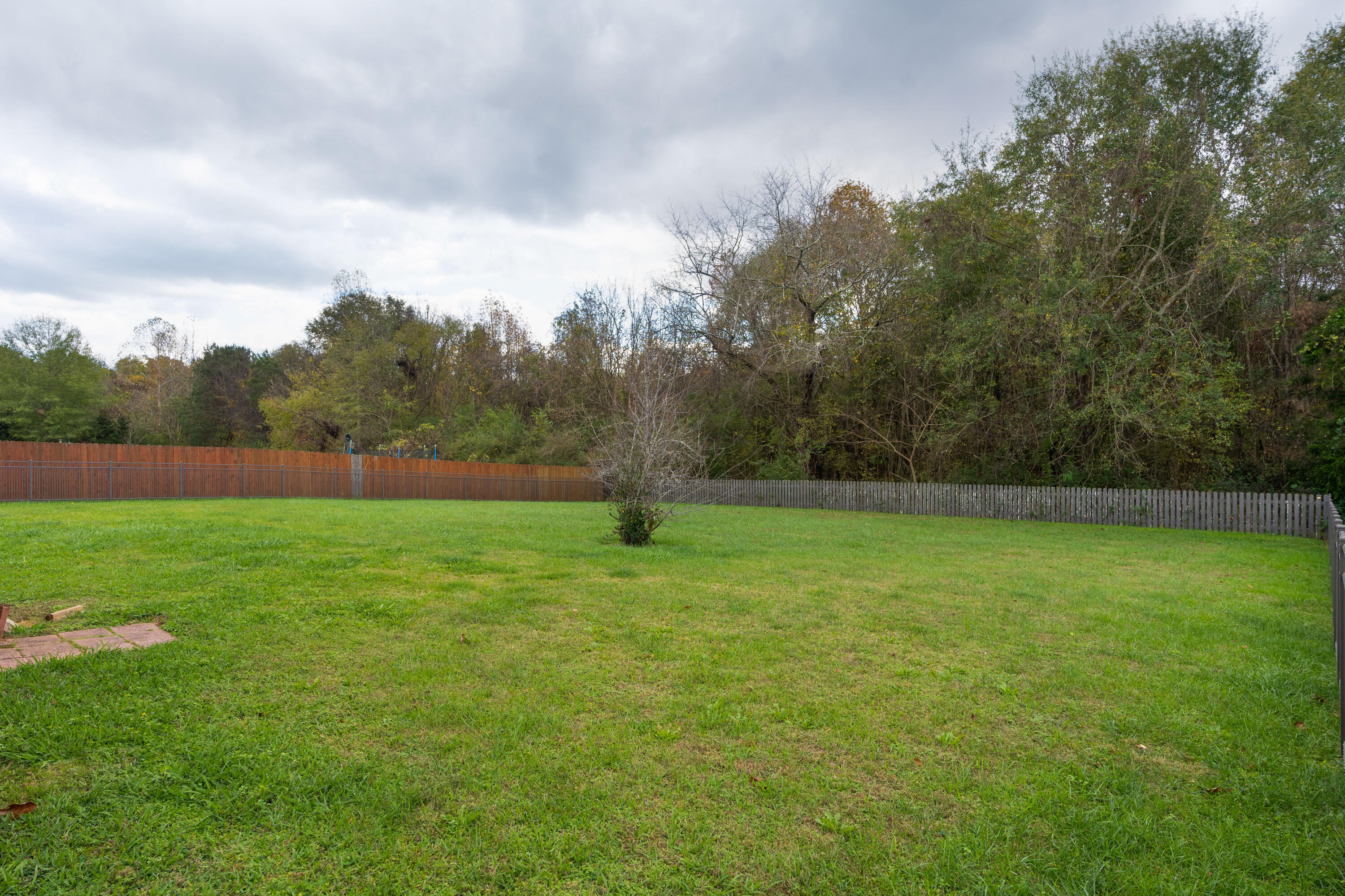 1542 Courtland Drive