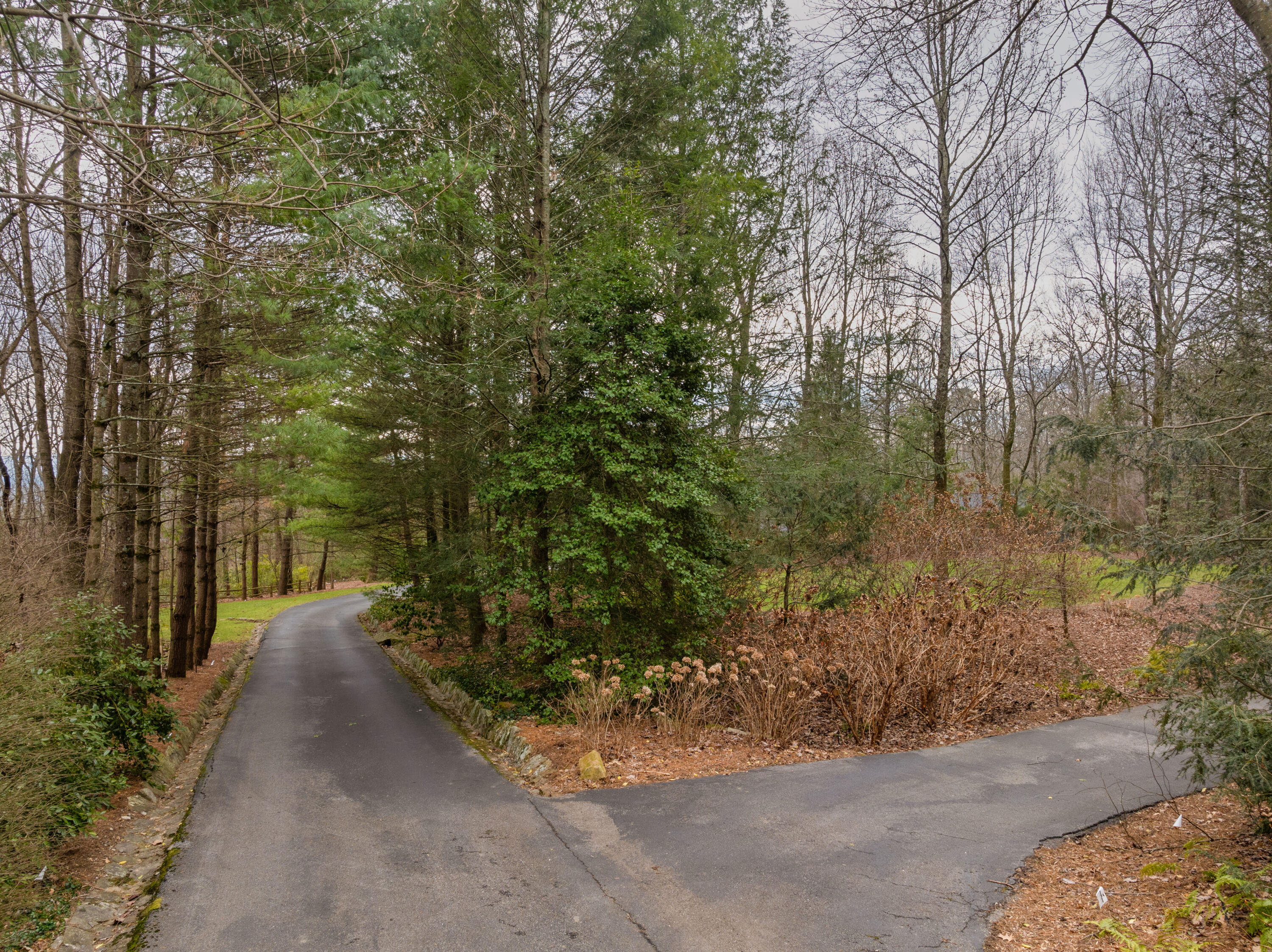 1015 Scenic Highway