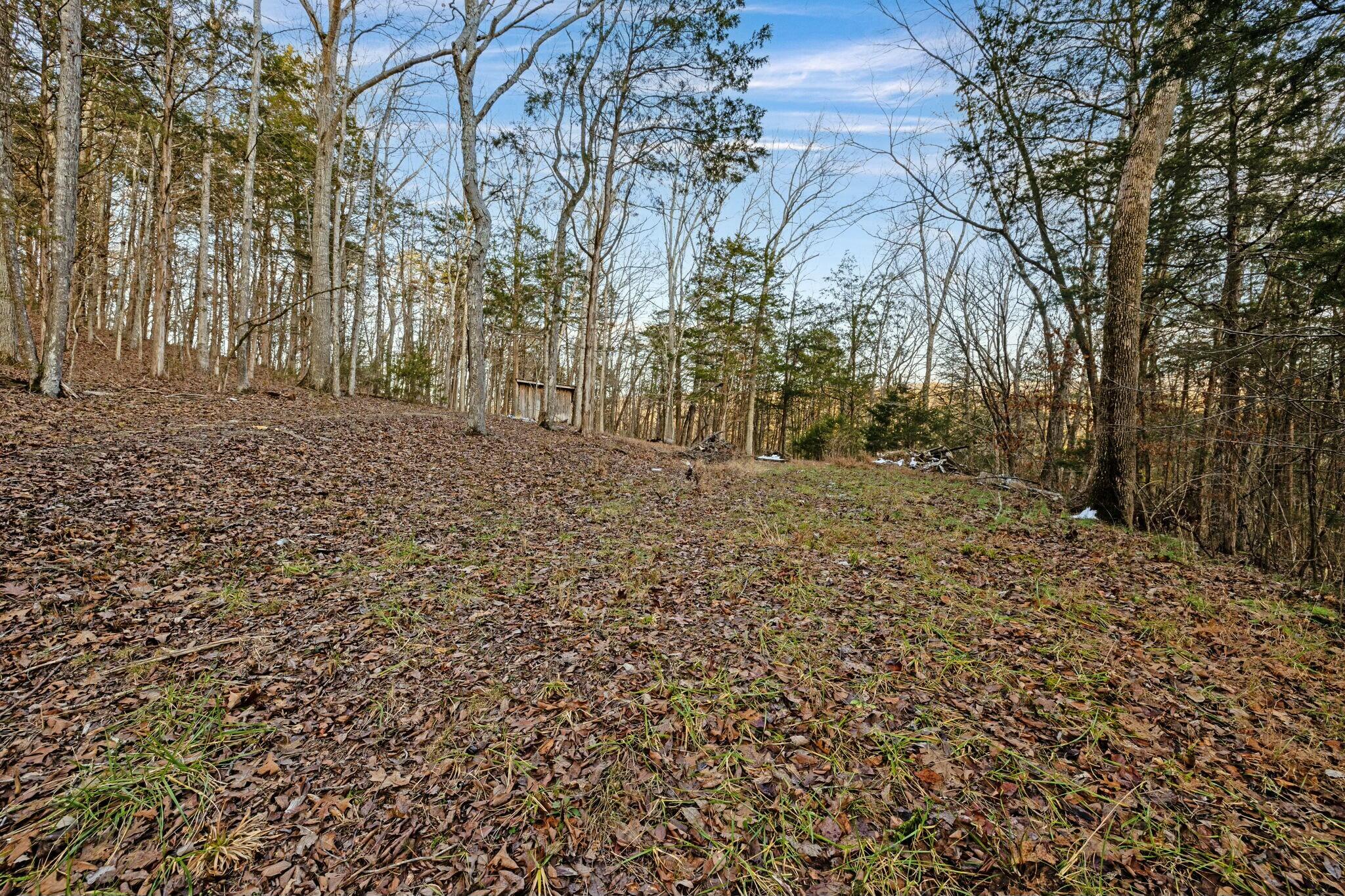 582 Byrds Chapel Drive