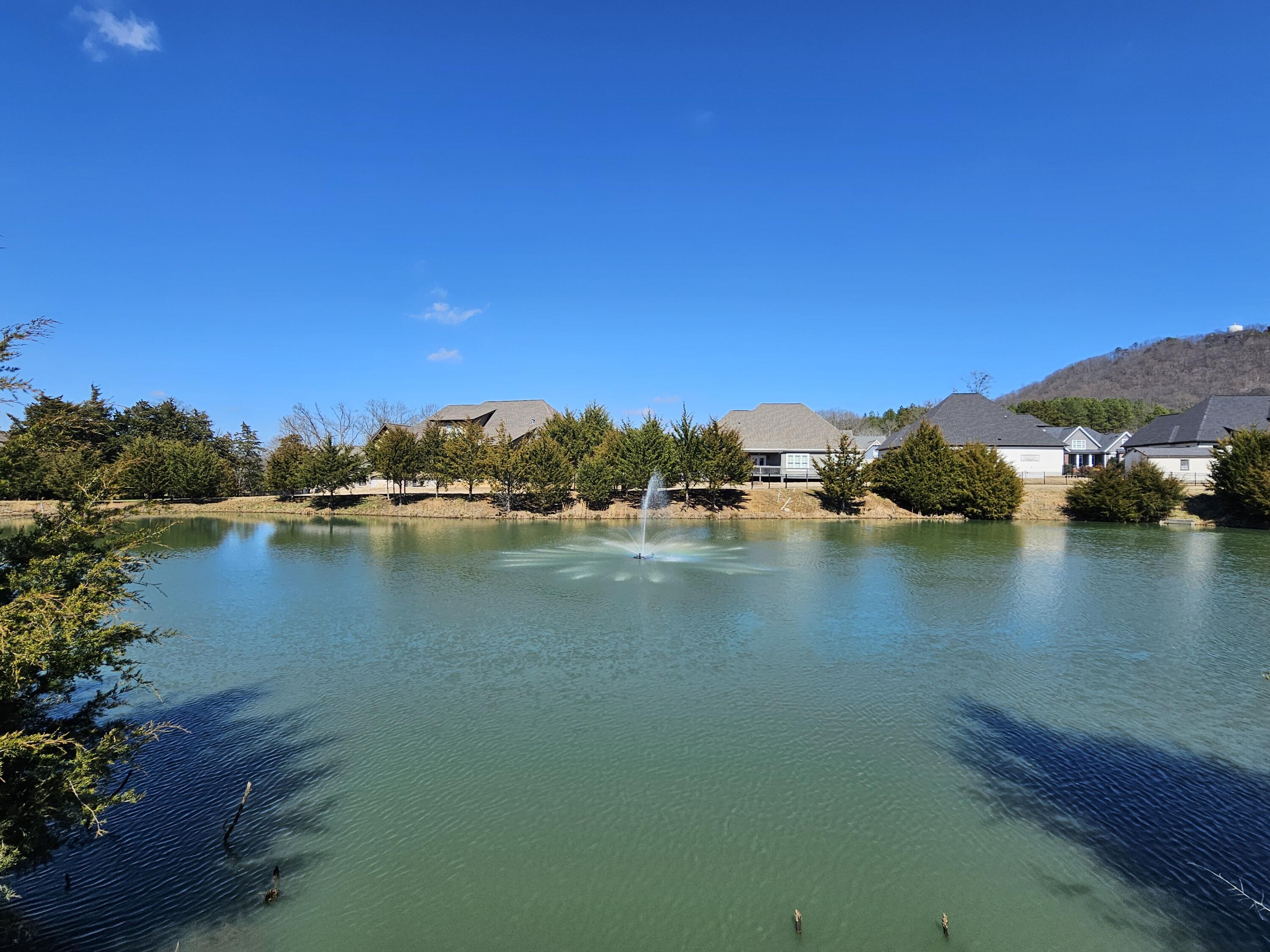 8858 Silver Maple Drive