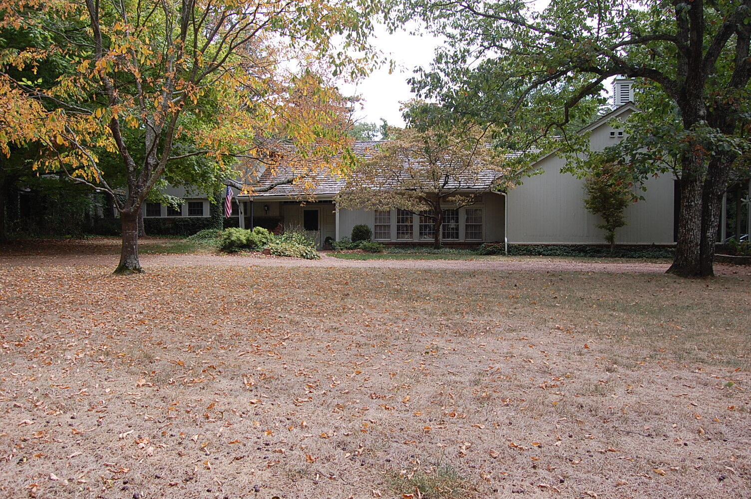 503 Pine Avenue