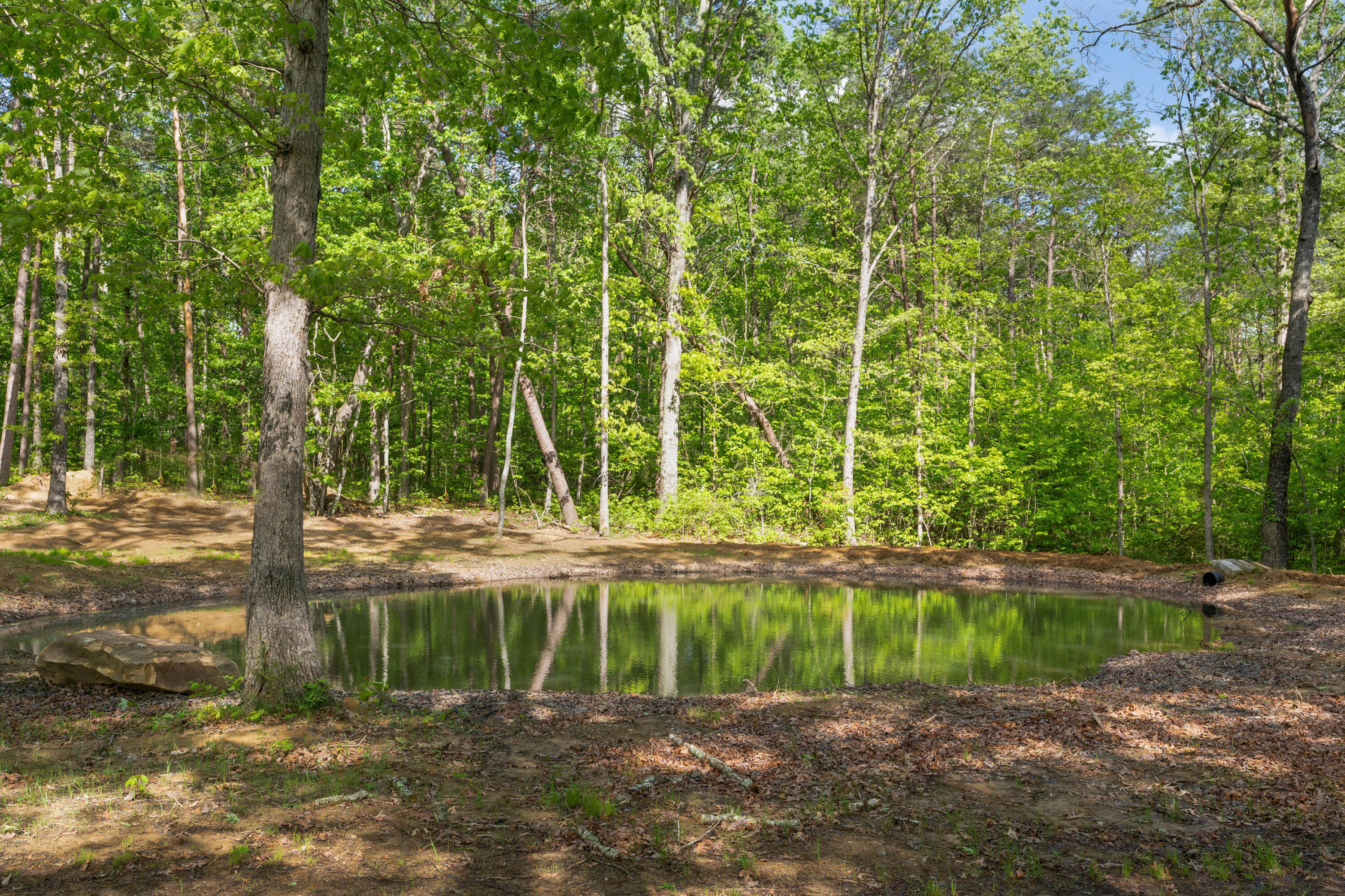 3086 Poe Road