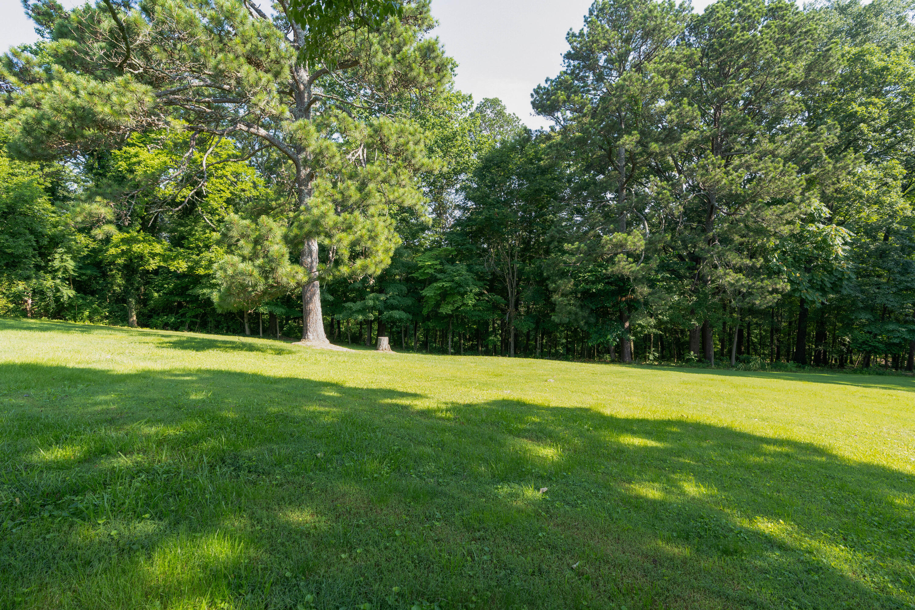 2411 Woolson Road