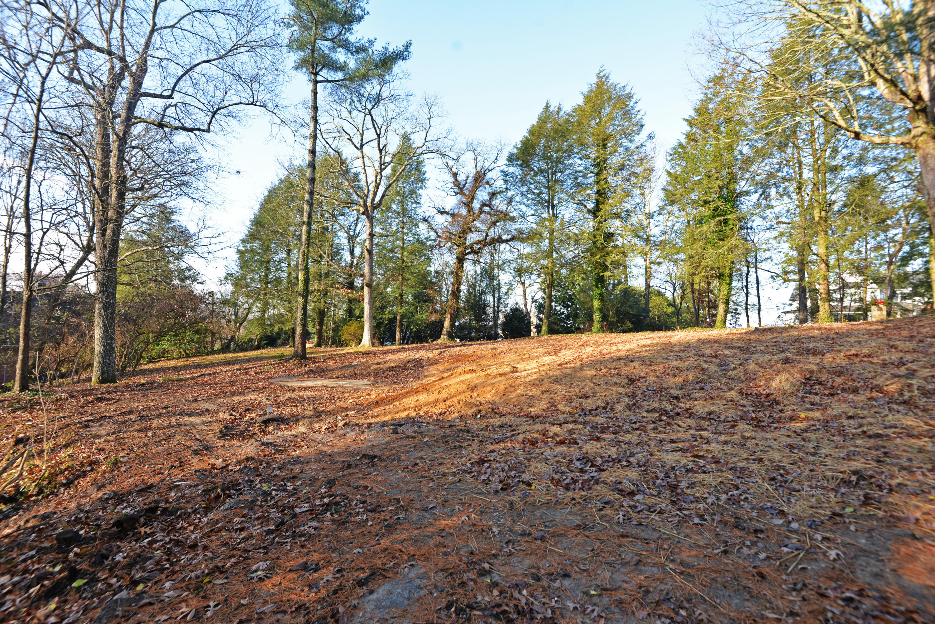 309 W Brow Road