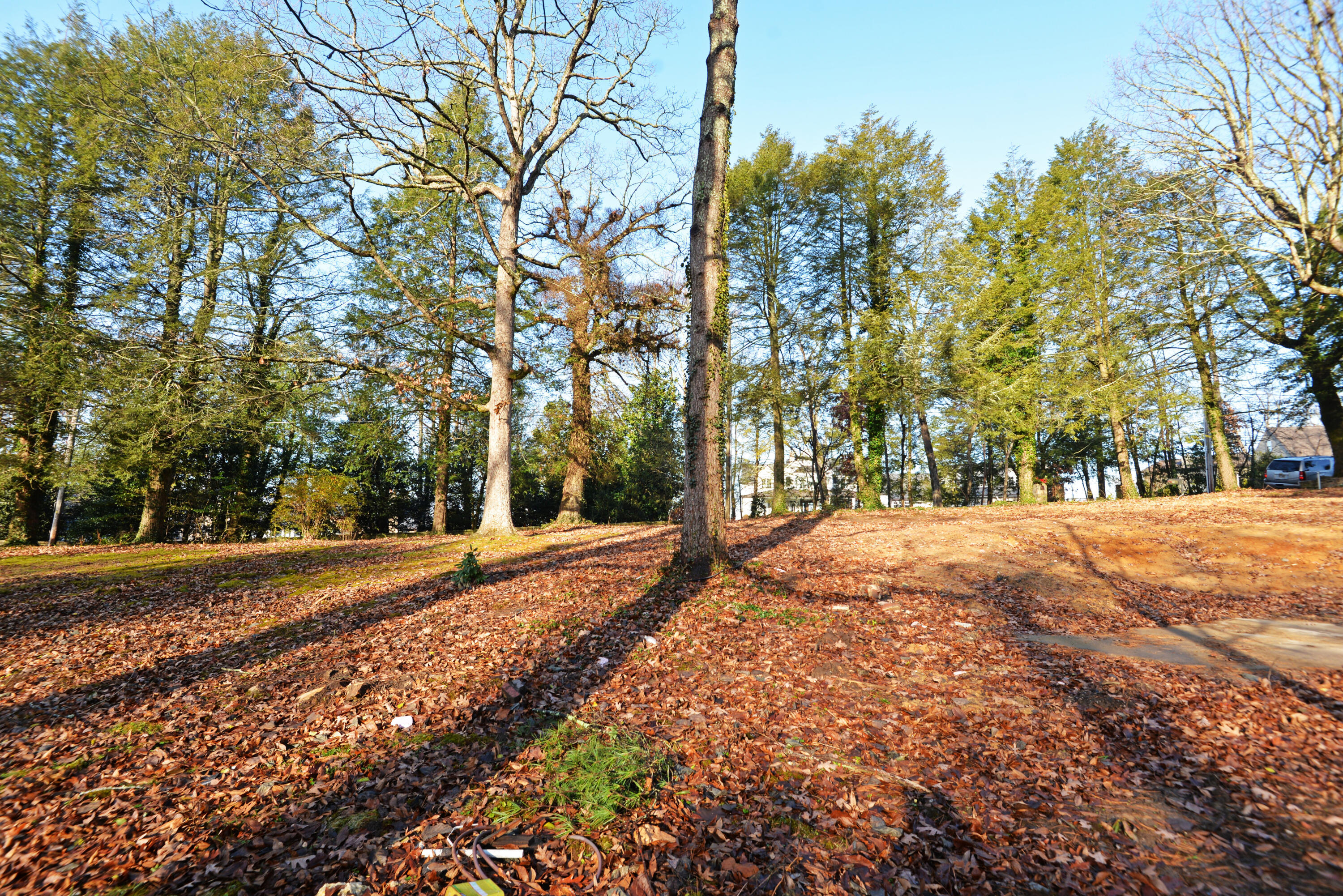 309 W Brow Road