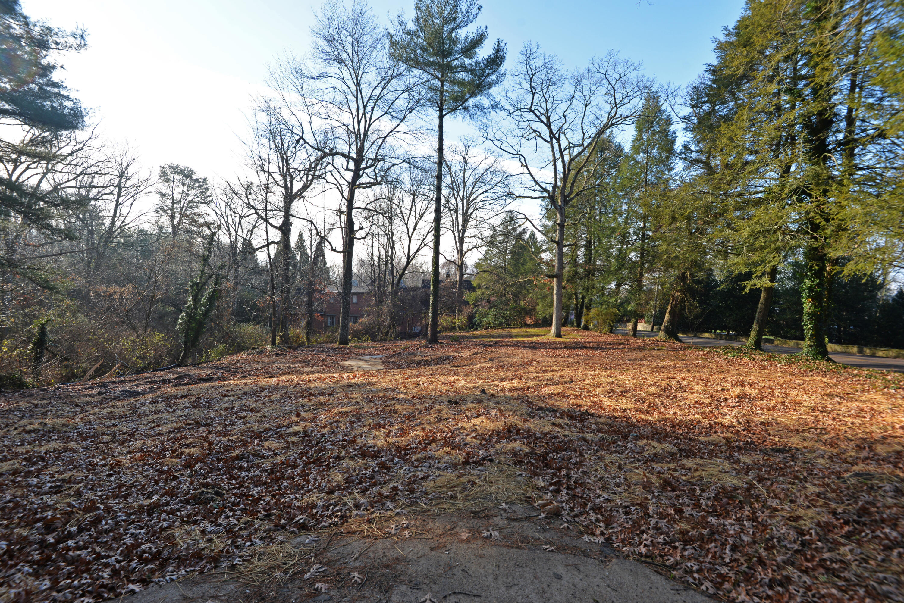 309 W Brow Road