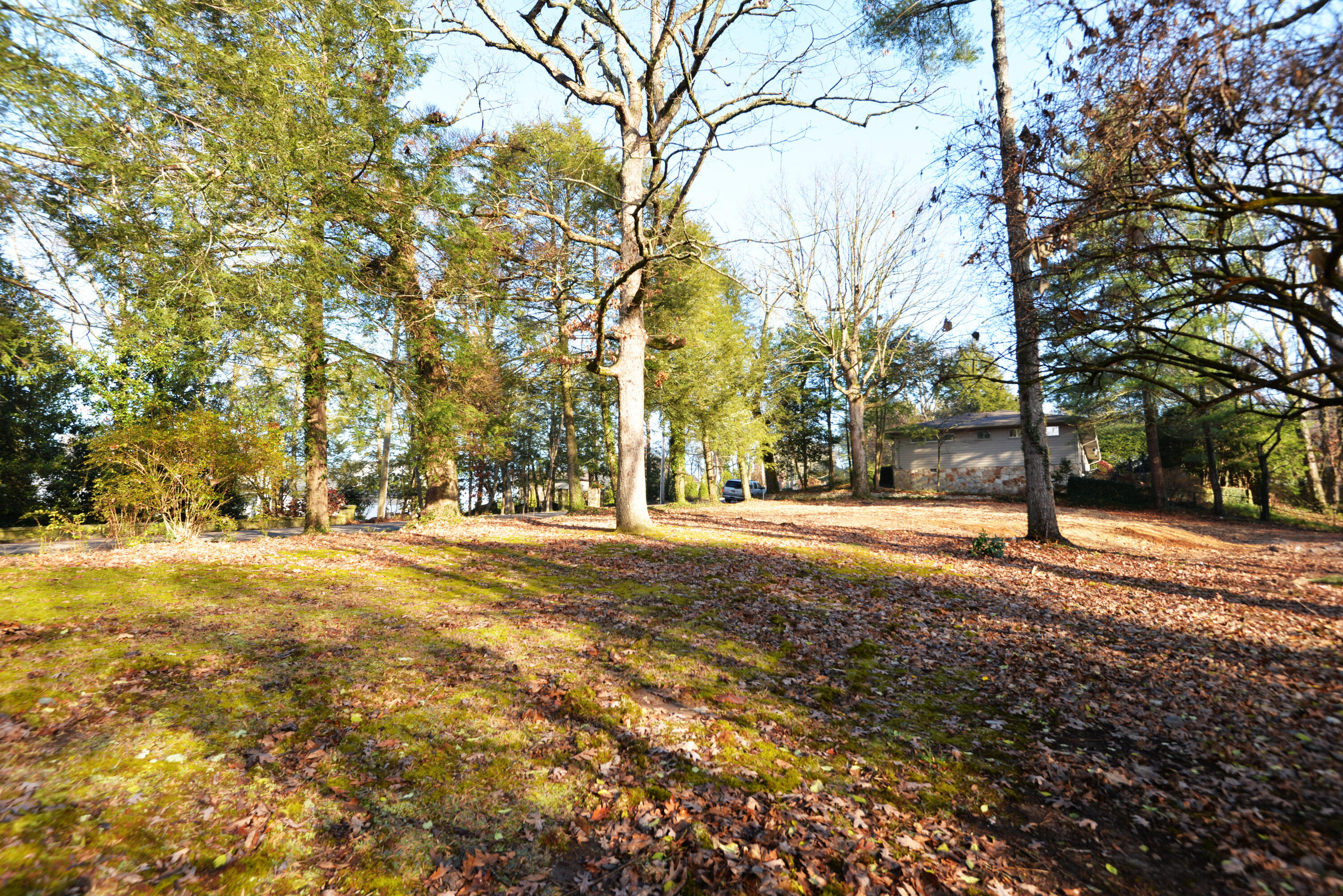 309 W Brow Road