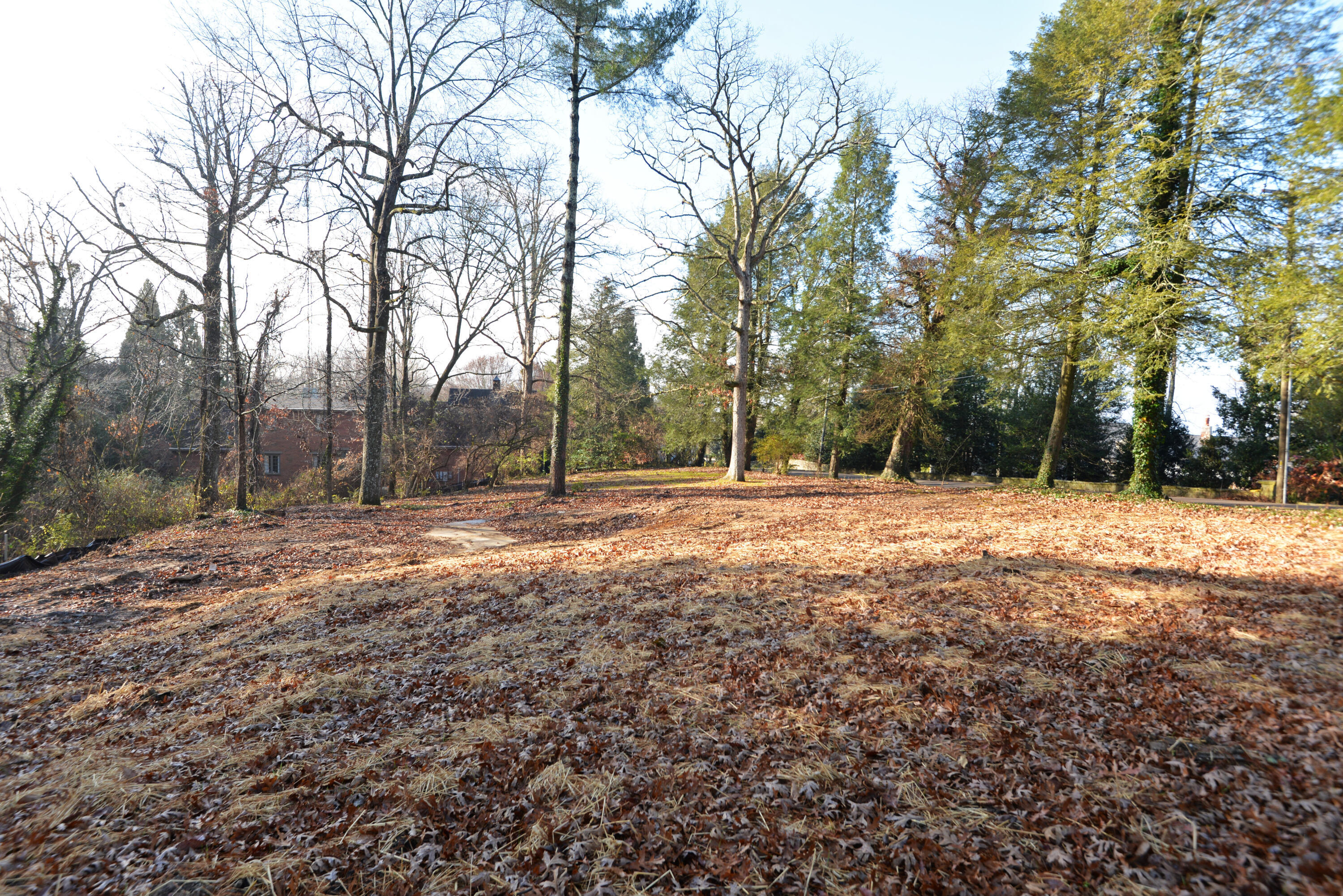309 W Brow Road