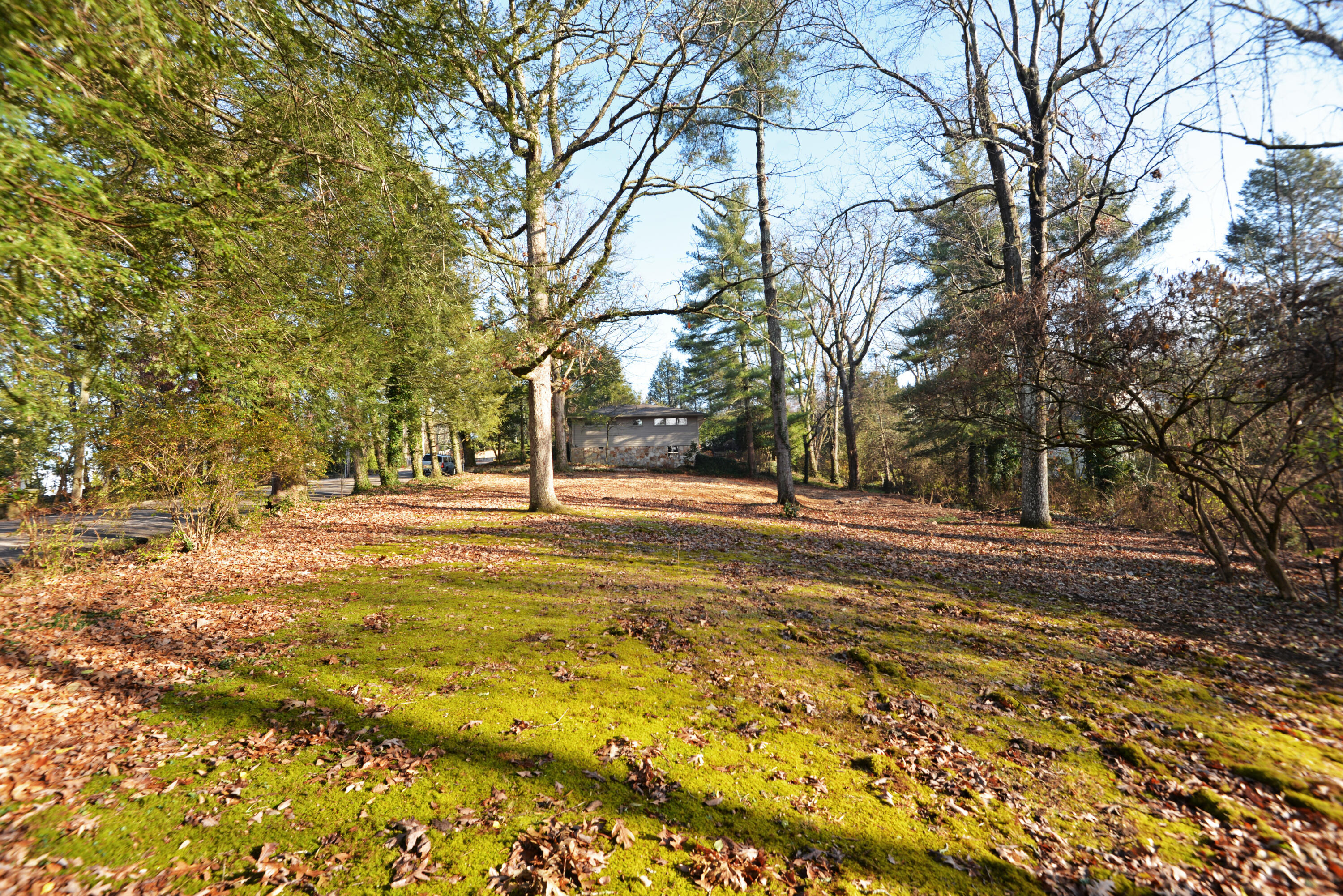309 W Brow Road