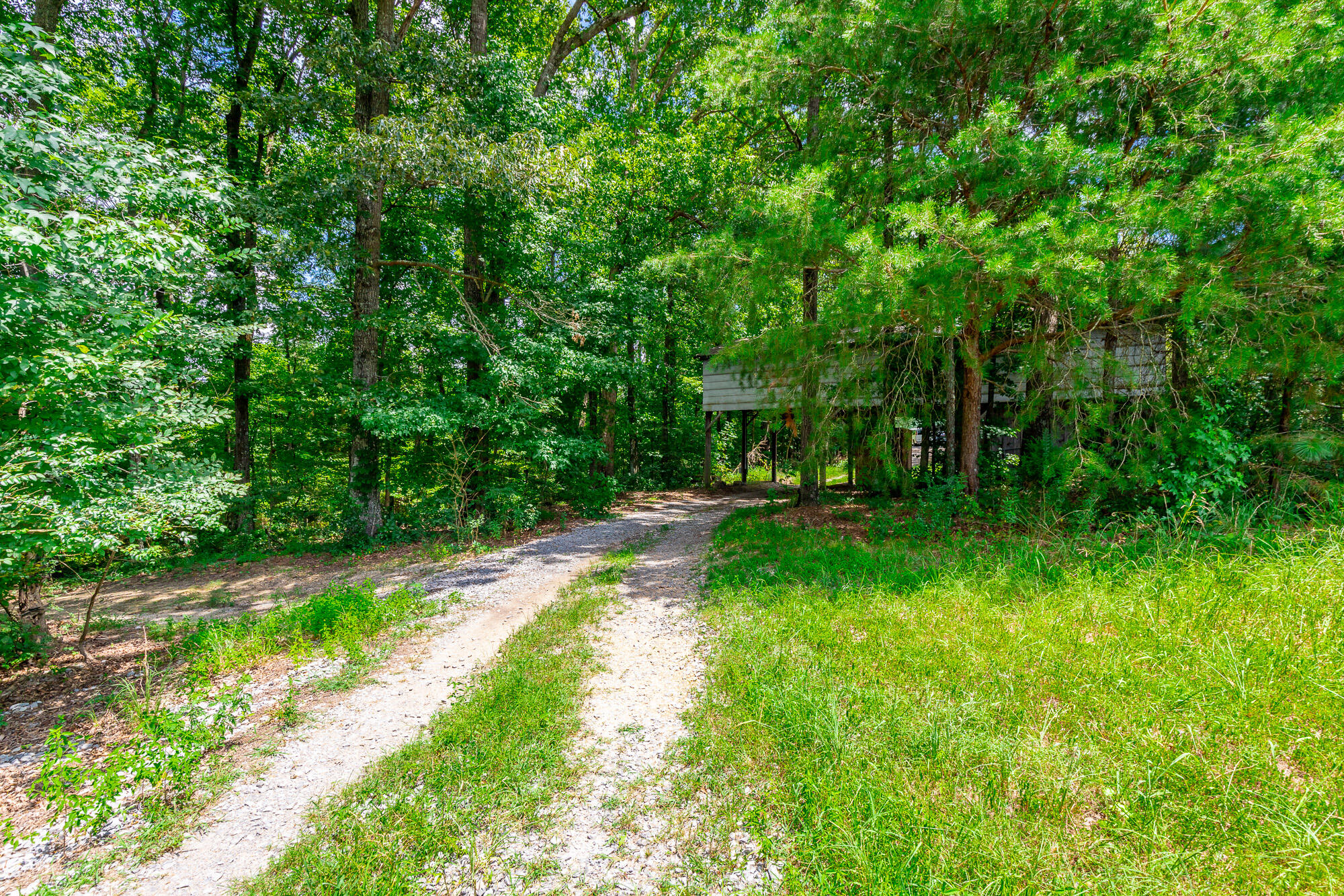635 Cook Road, LaFayette