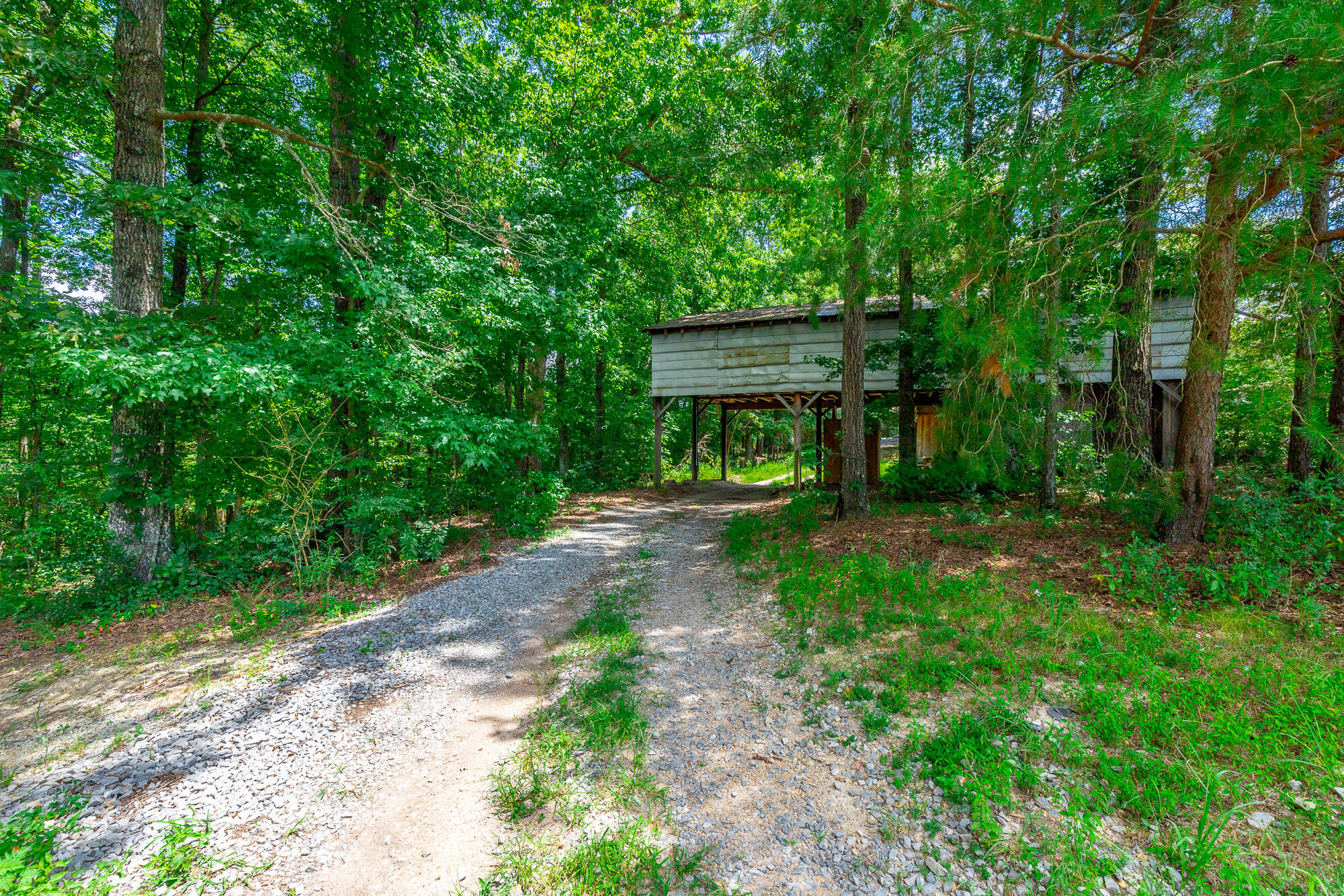 635 Cook Road, LaFayette