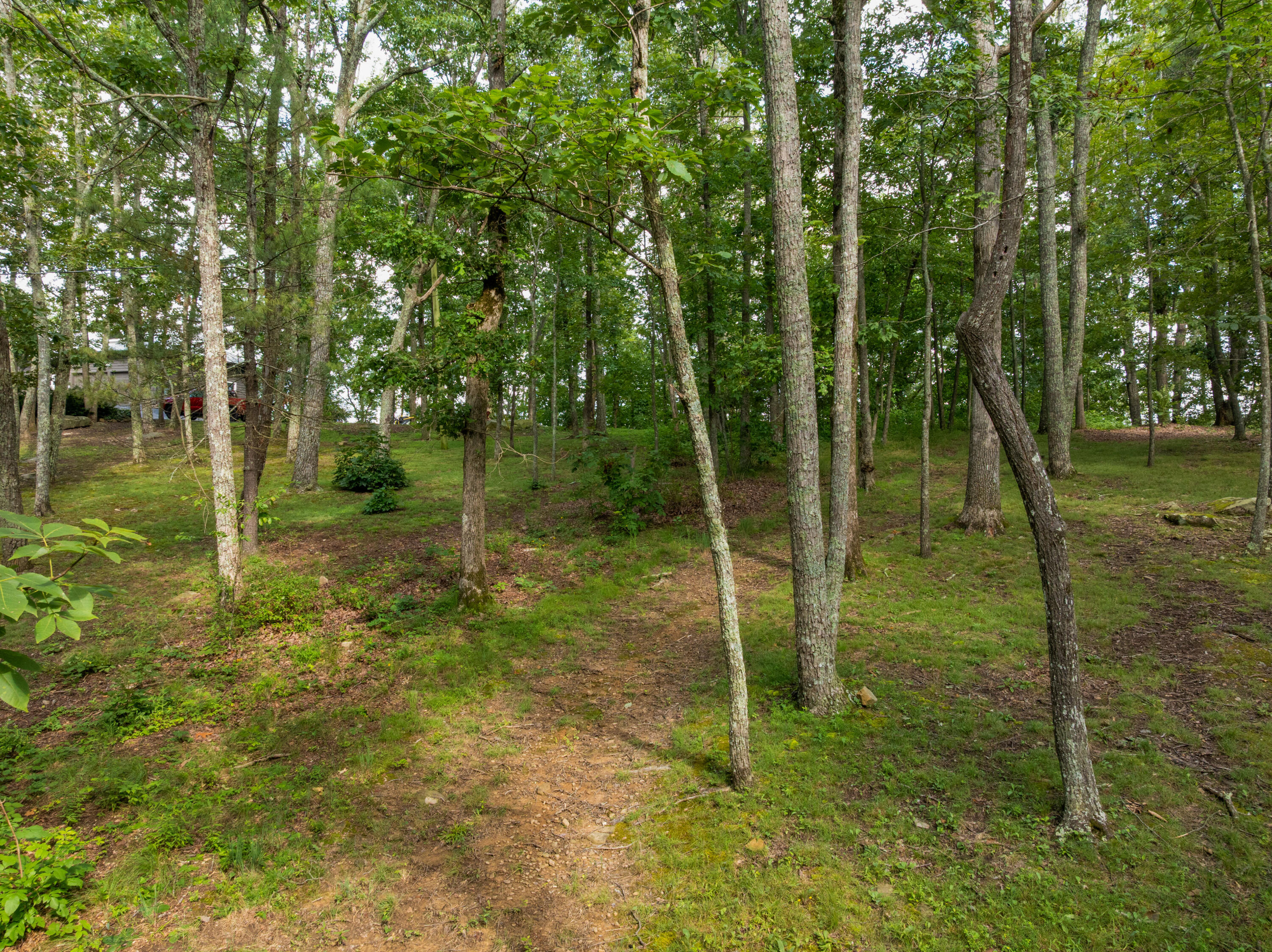 331 Brow Lake Road