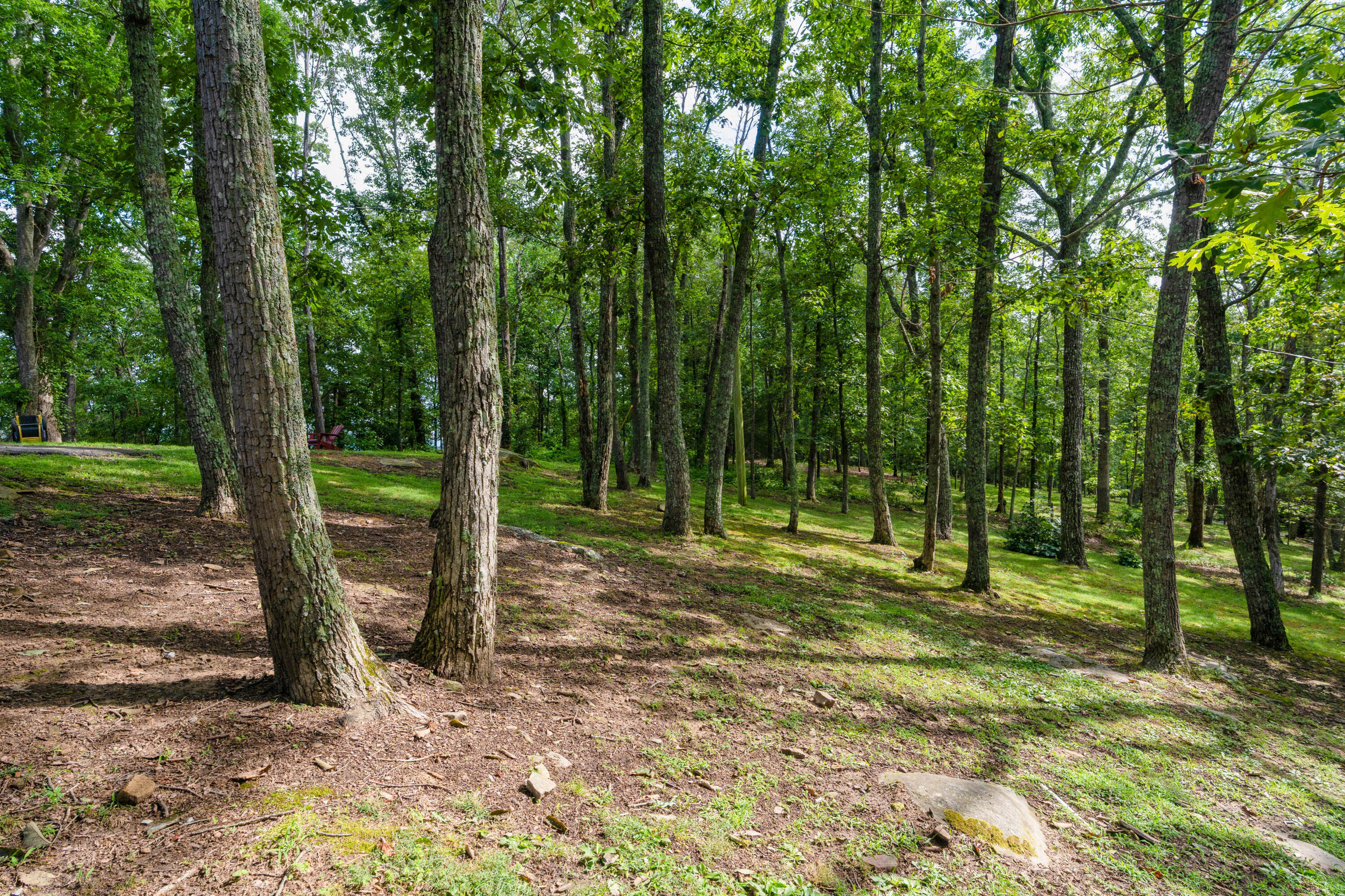 331 Brow Lake Road