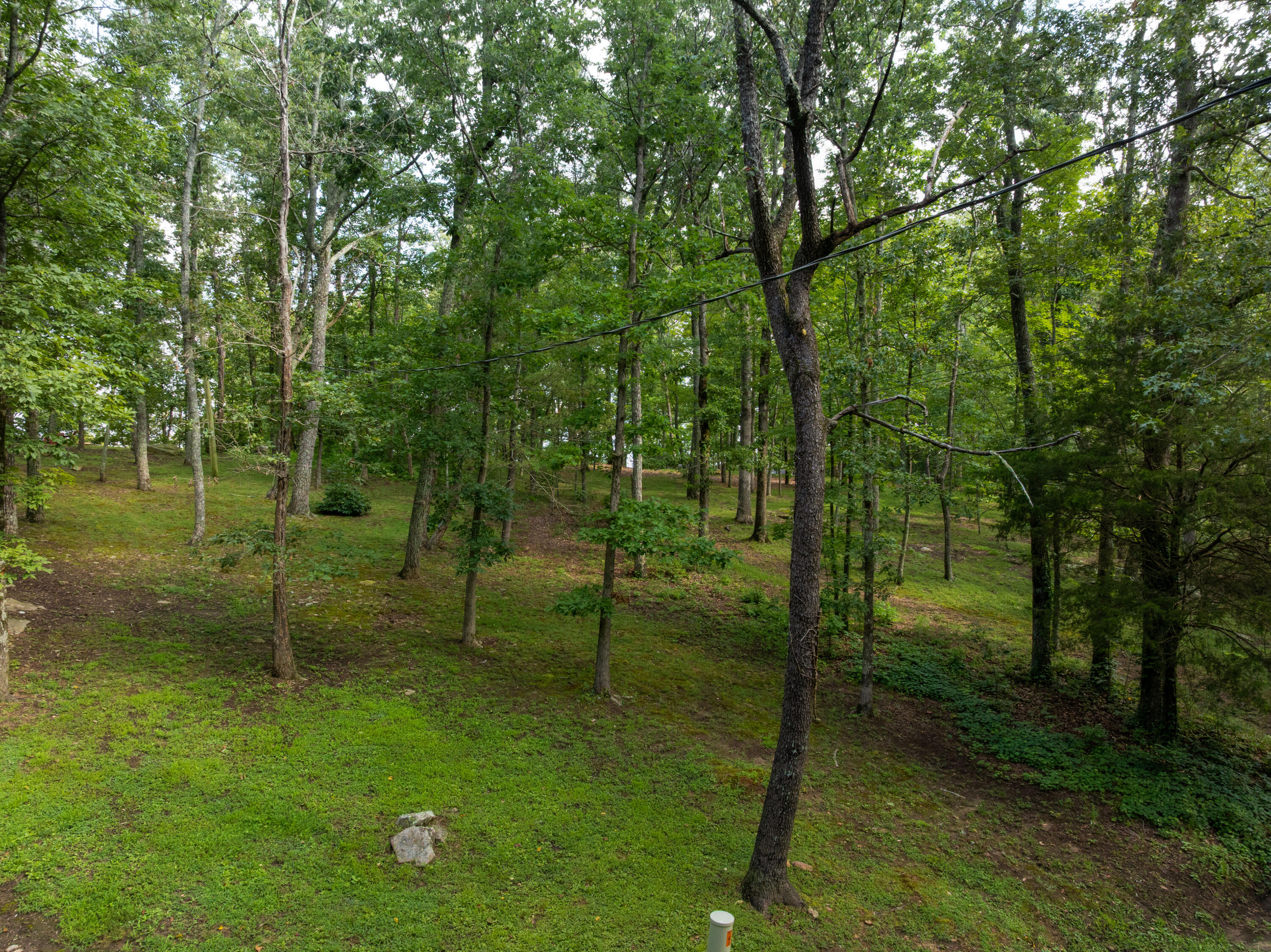 331 Brow Lake Road