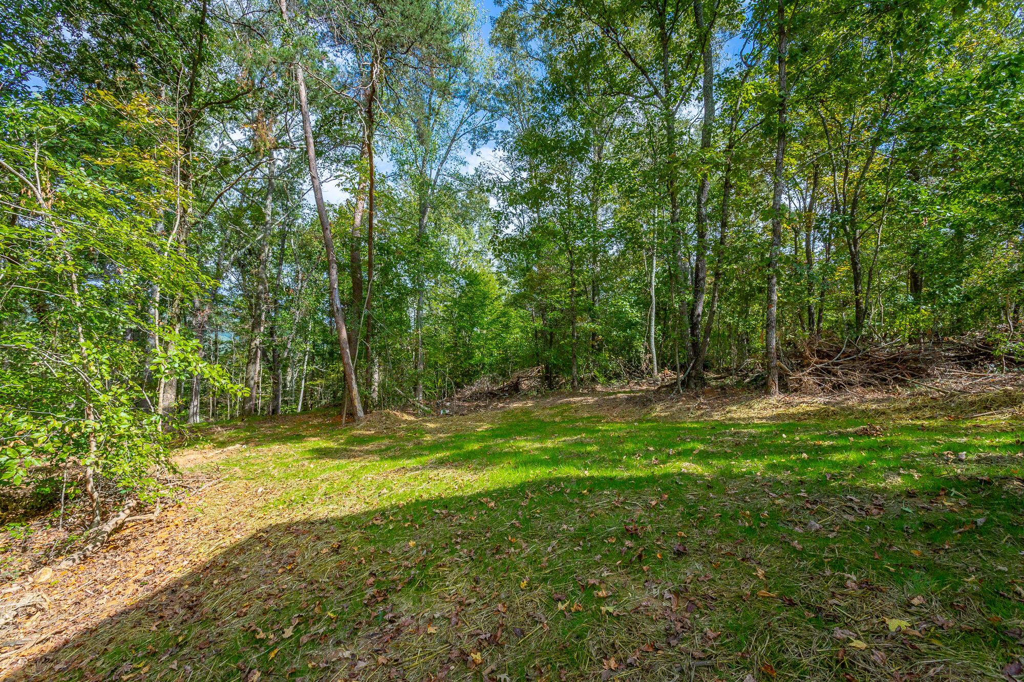 76 Pineway Circle