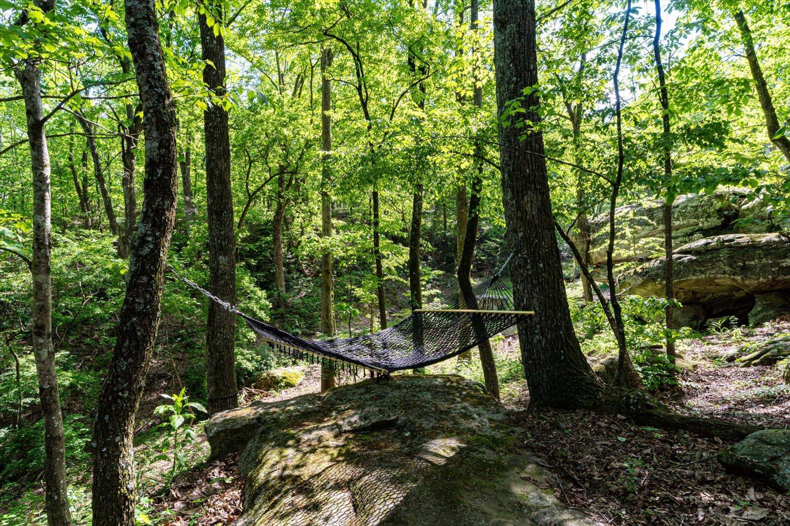 314 Fairy Trail
