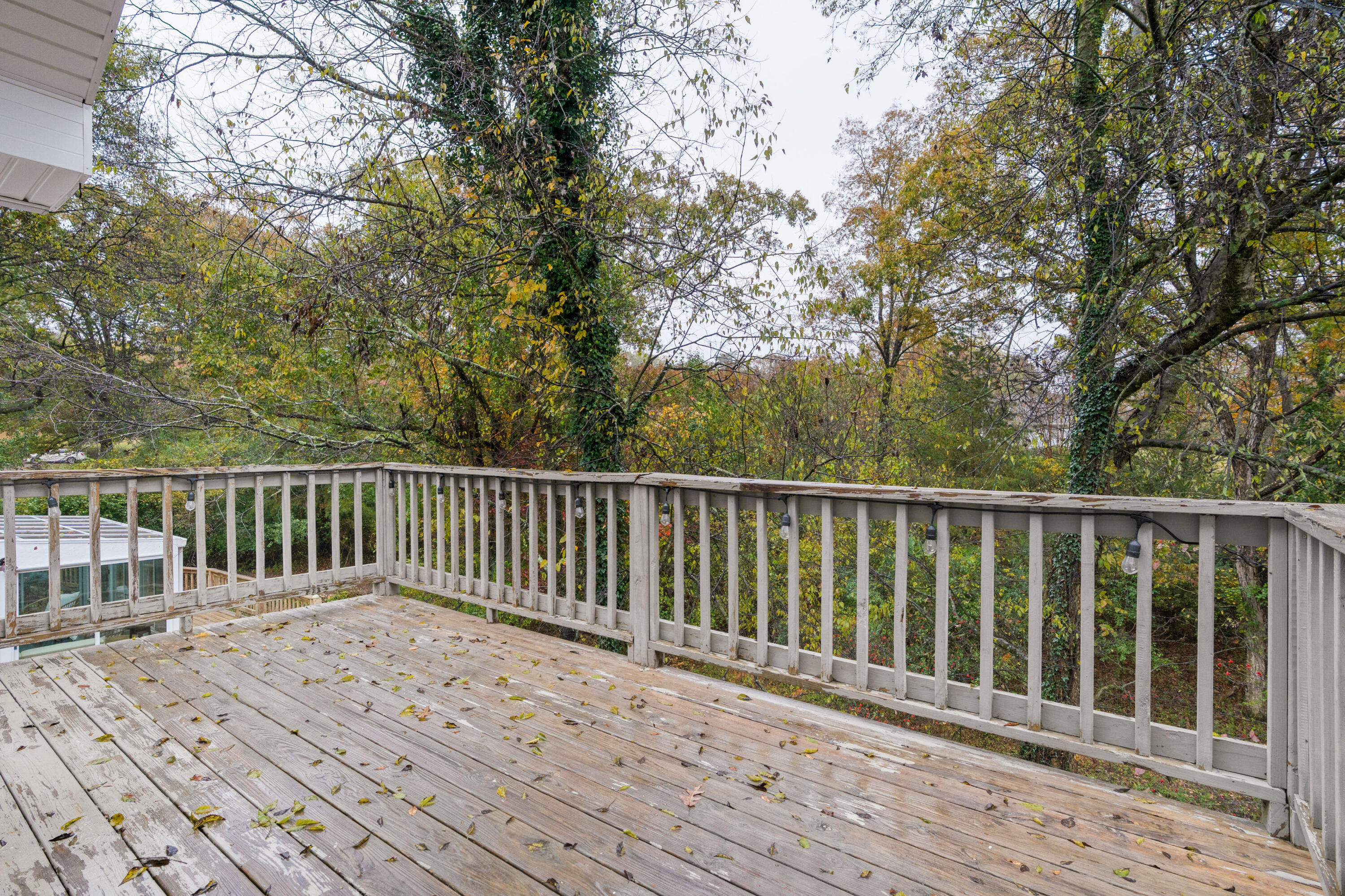 1573 Highway 157