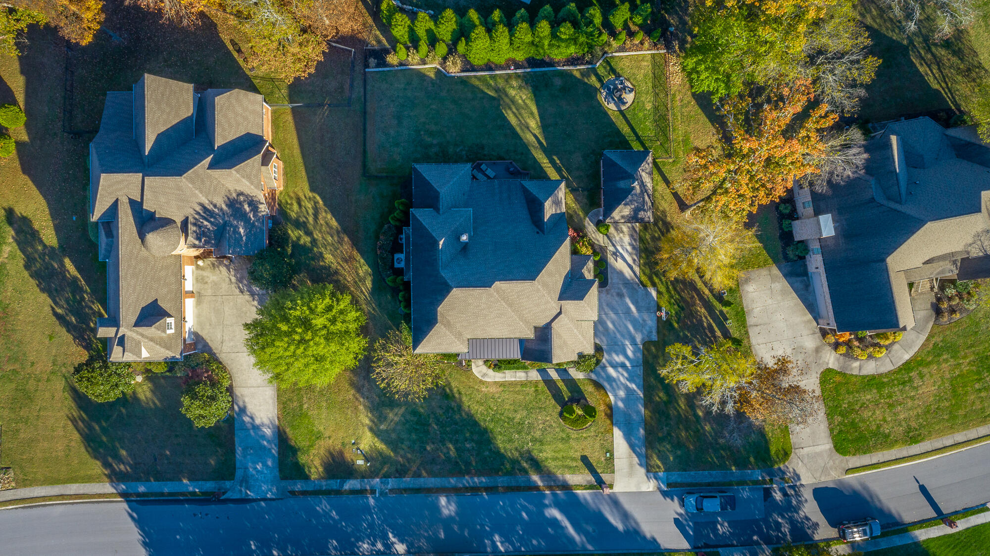 8659 Rambling Rose Drive