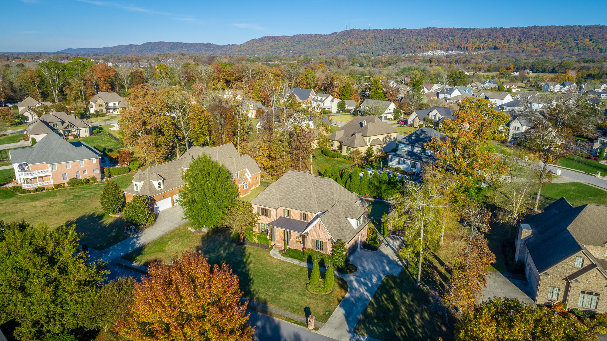 8659 Rambling Rose Drive