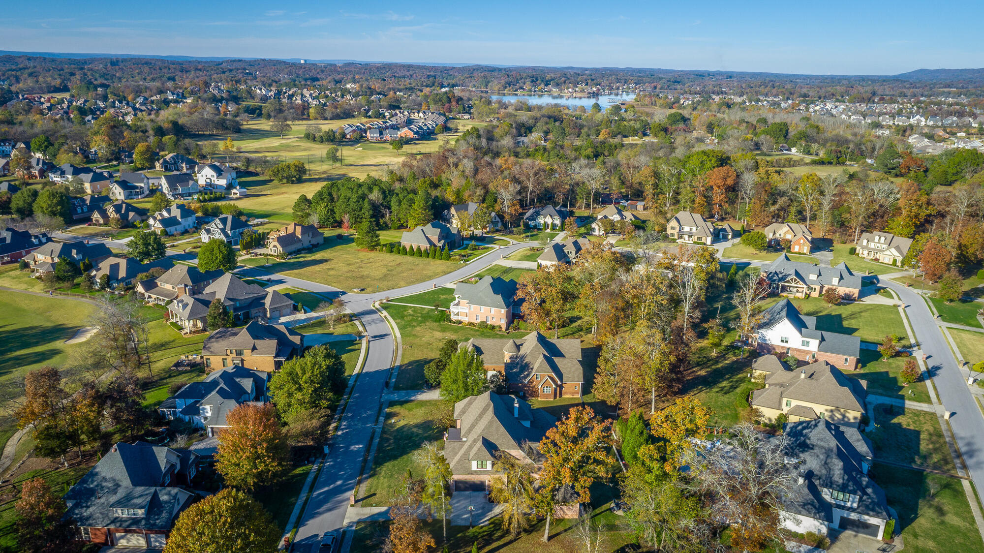 8659 Rambling Rose Drive