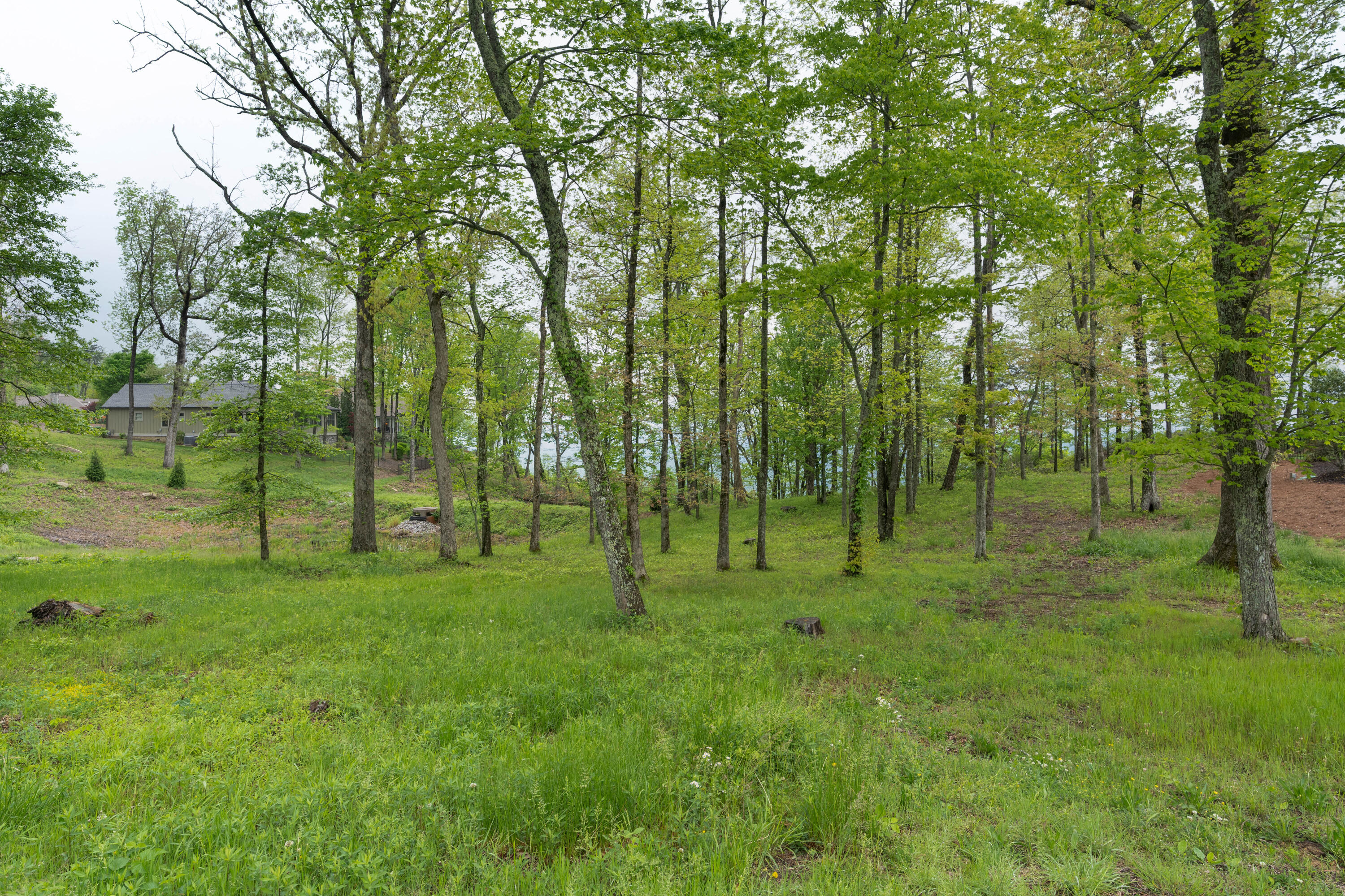 407 Brow Wood Lane