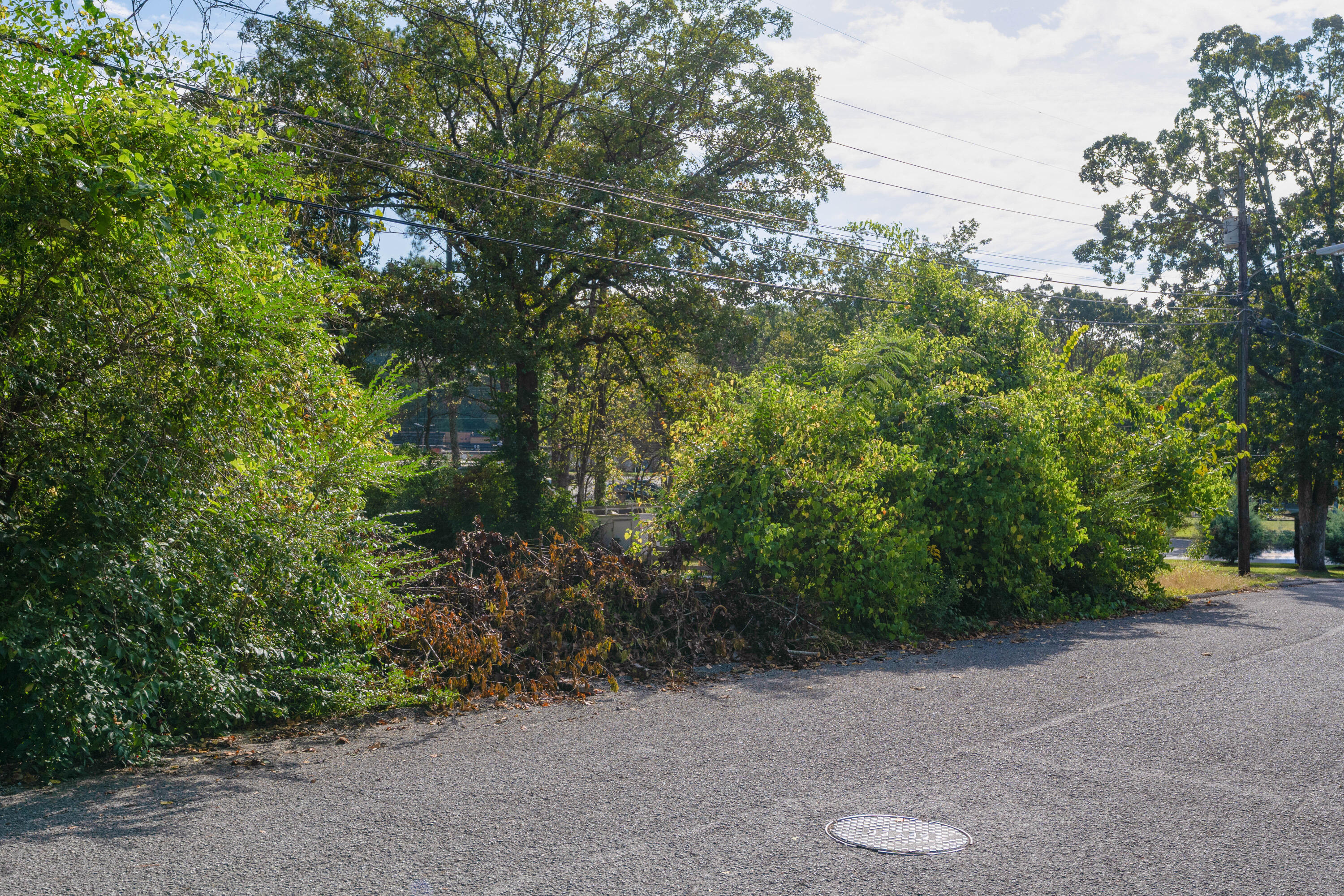 3355 Black Oak Circle