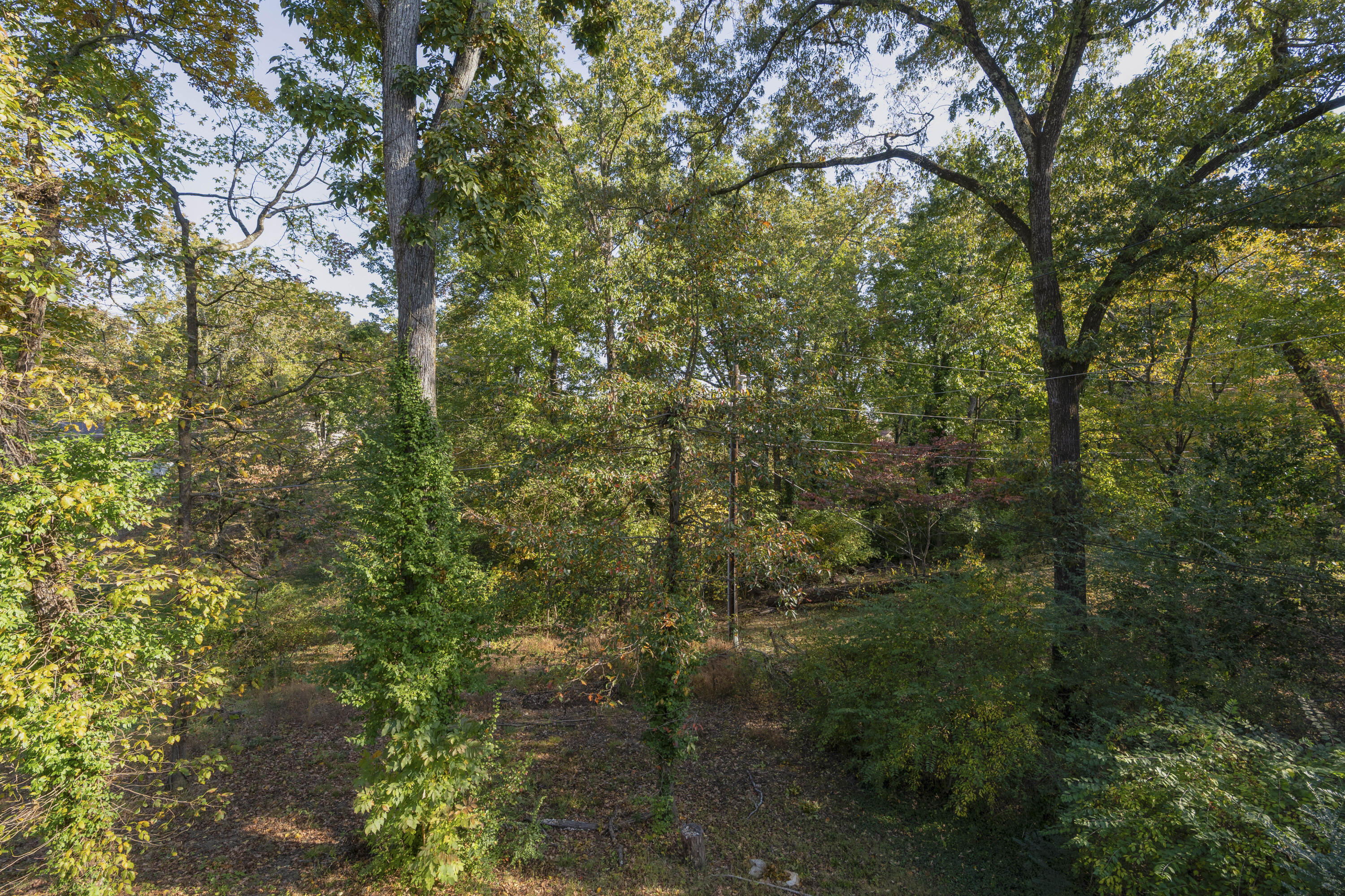602 Paragon Drive