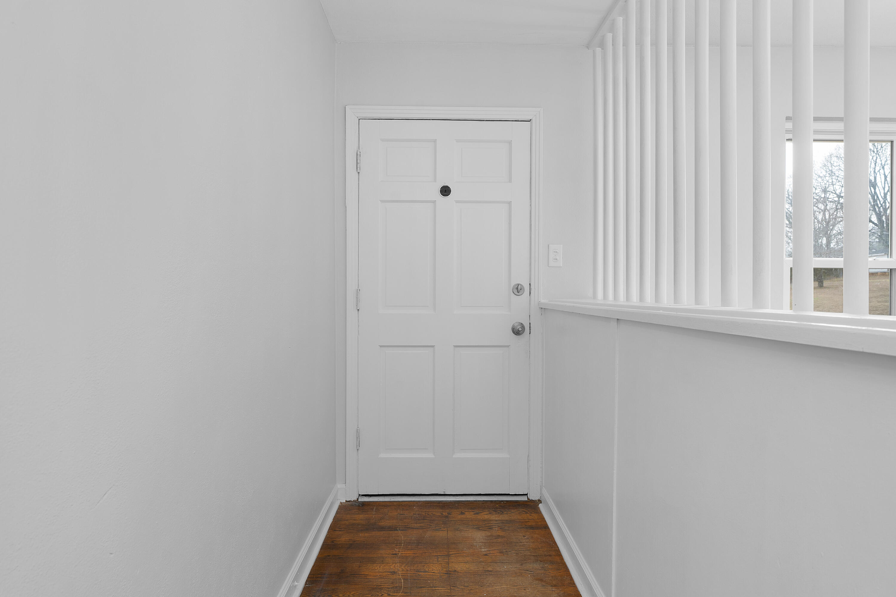 4519 Paw Trail