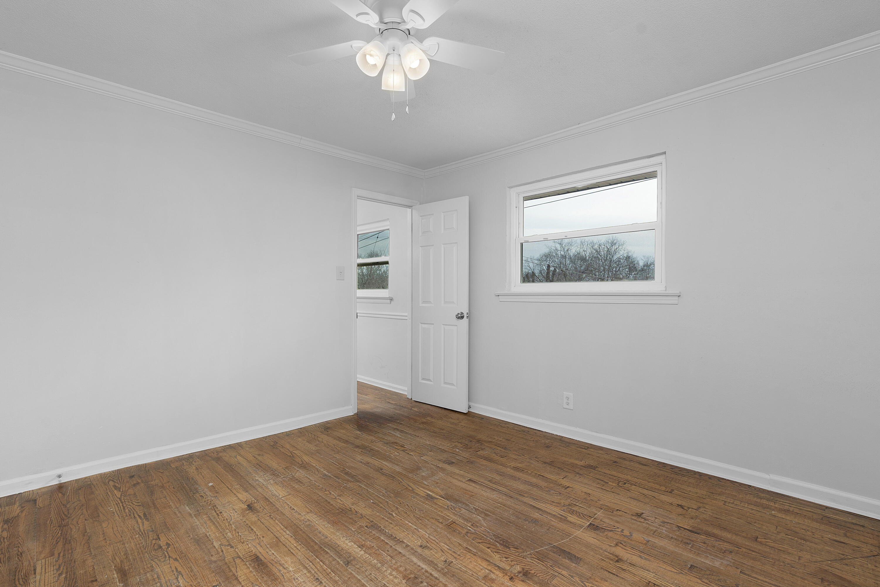 4519 Paw Trail