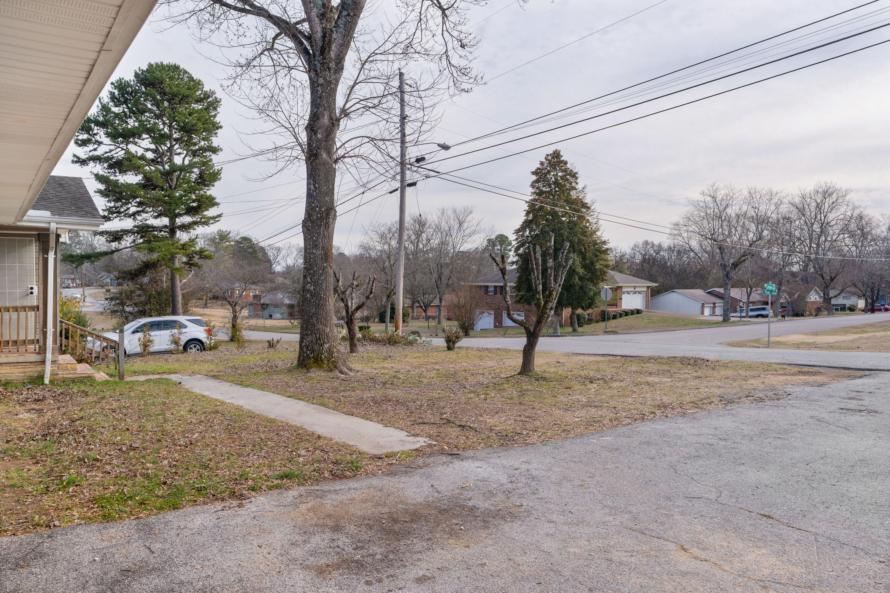 4519 Paw Trail